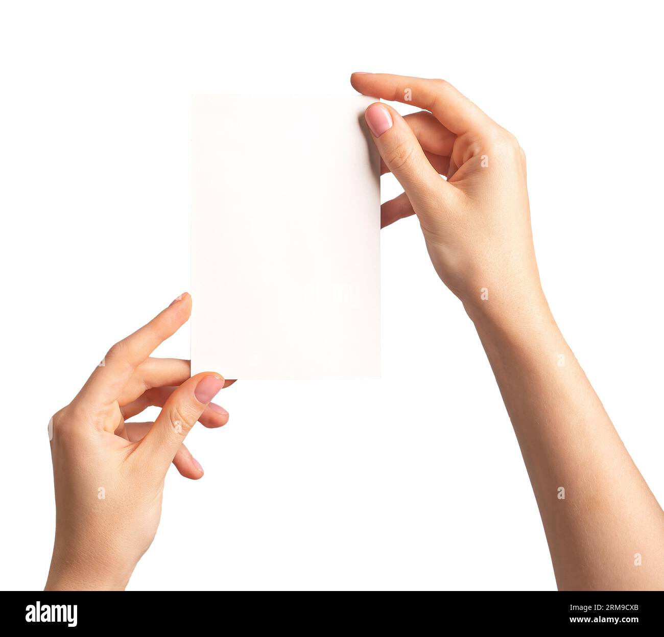 Hands holding greeting card mockup, blank postcard isolated on white background. Stock Photo