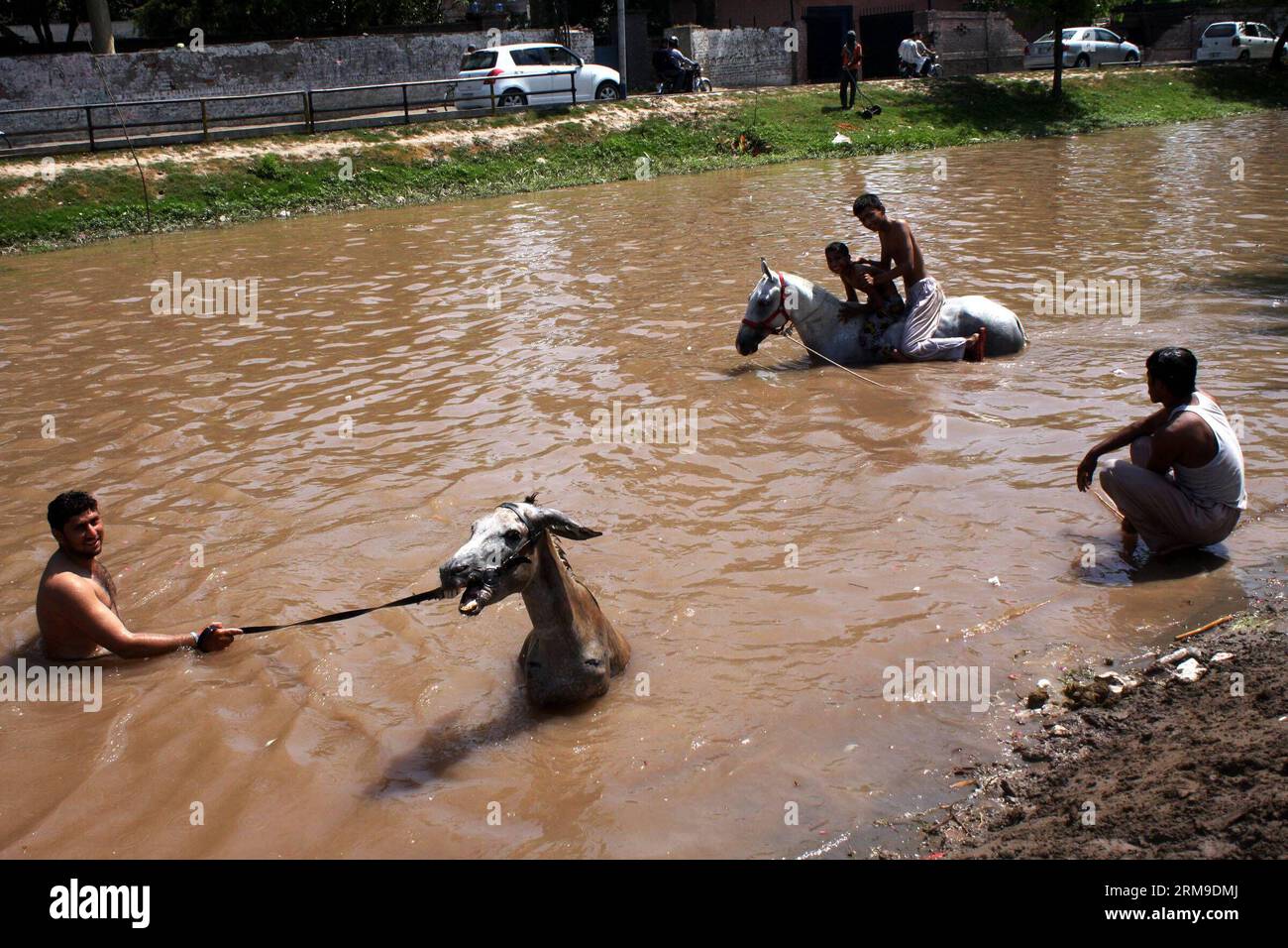 LAHORE, May 19, 2014 (Xinhua) -- People wade with their animals in a canal during a hot day in eastern Pakistan s Lahore on May 19, 2014. Temperature reached over 40 degrees Celsius in many parts of the country. (Xinhua/Jamil Ahmed) (zjy) PAKISTAN-LAHORE-HEAT PUBLICATIONxNOTxINxCHN   Lahore May 19 2014 XINHUA Celebrities Calf With their Animals in a Canal during a Hot Day in Eastern Pakistan S Lahore ON May 19 2014 temperature reached Over 40 Degrees Celsius in MANY Parts of The Country XINHUA Jamil Ahmed  Pakistan Lahore Heat PUBLICATIONxNOTxINxCHN Stock Photo