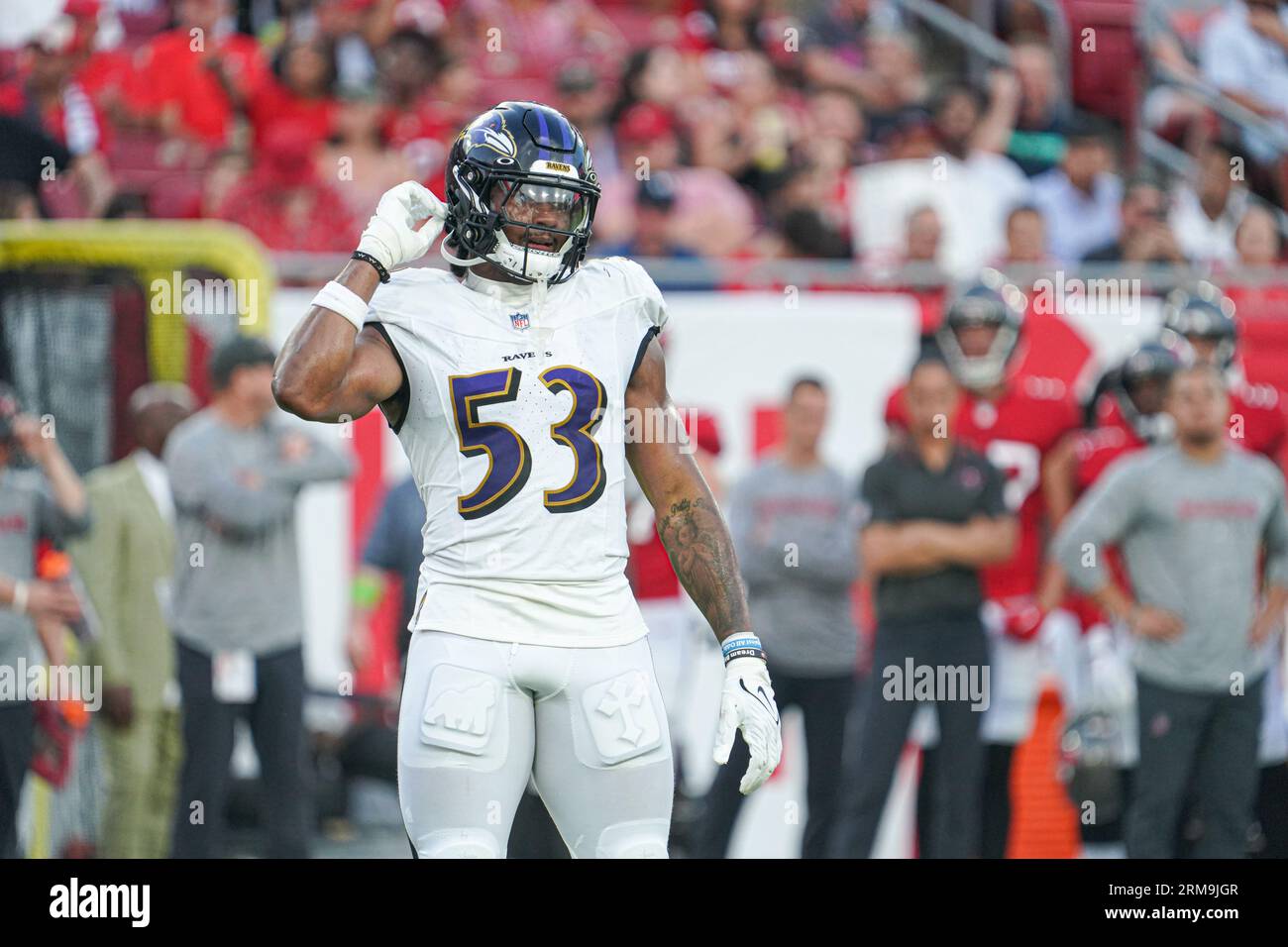Tampa Bay, Florida, USA, August 26, 2023, Baltimore Ravens Linebacker