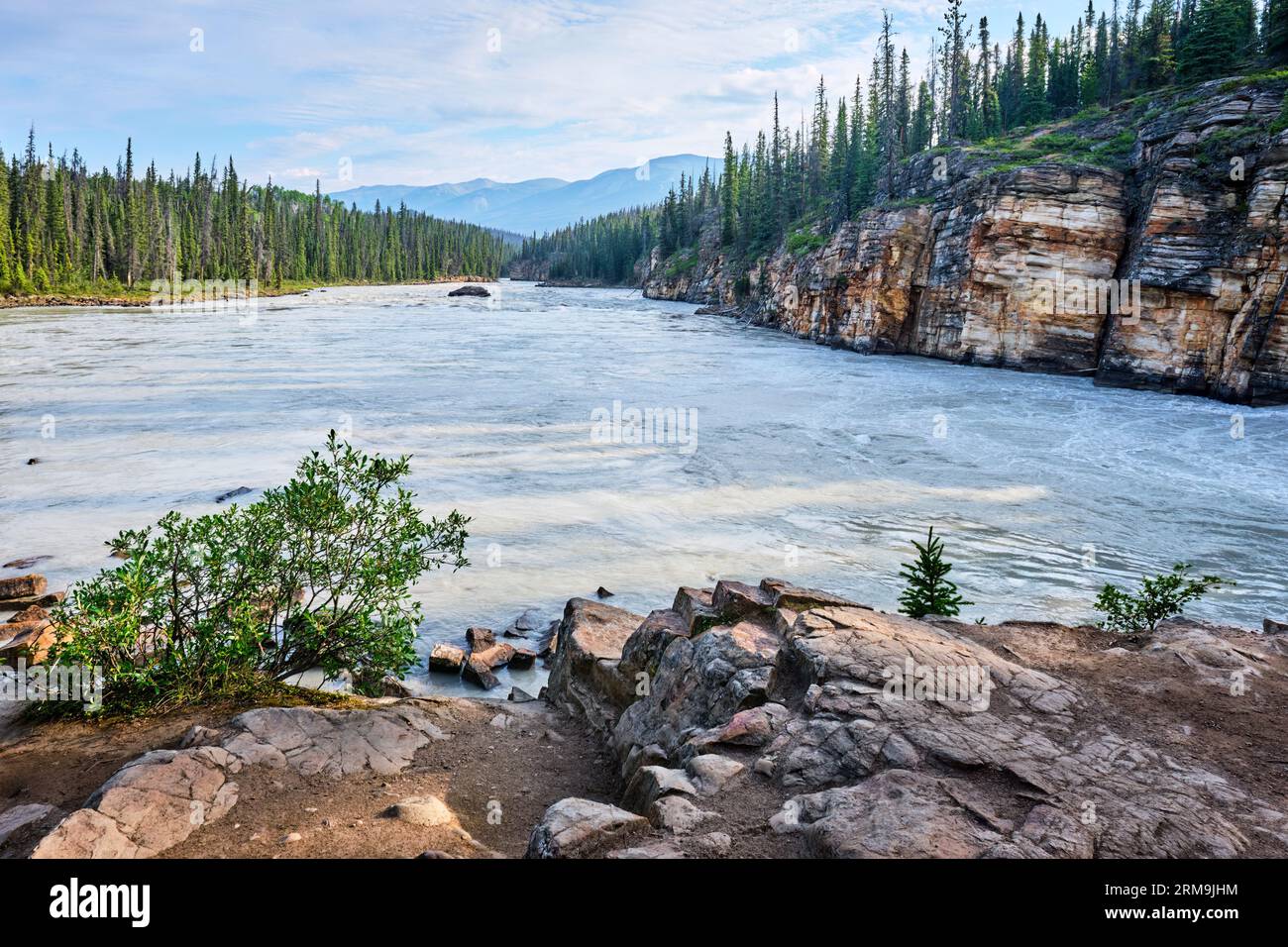 The Athabaska River as it flows away from the base of the waterfall in Jasper National Park. Stock Photo