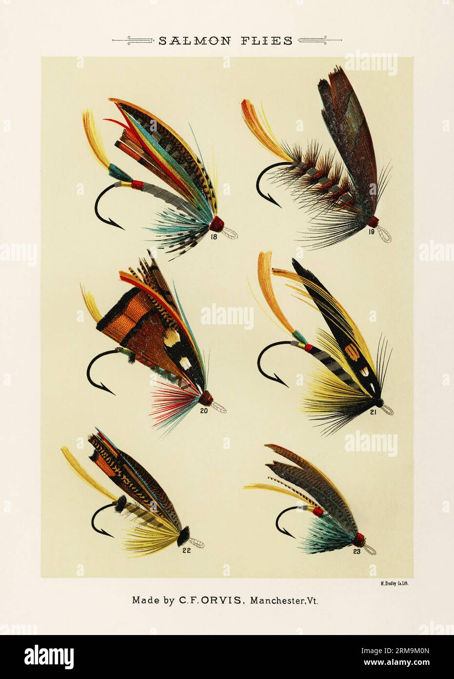 https://c8.alamy.com/comp/2RM9M0N/vintage-illustration-of-fly-fishing-hooks-assorted-barbed-fly-hooks-with-different-sizes-and-eyelets-for-artificial-fly-patterns-in-fly-fishing-ca-2RM9M0N.jpg