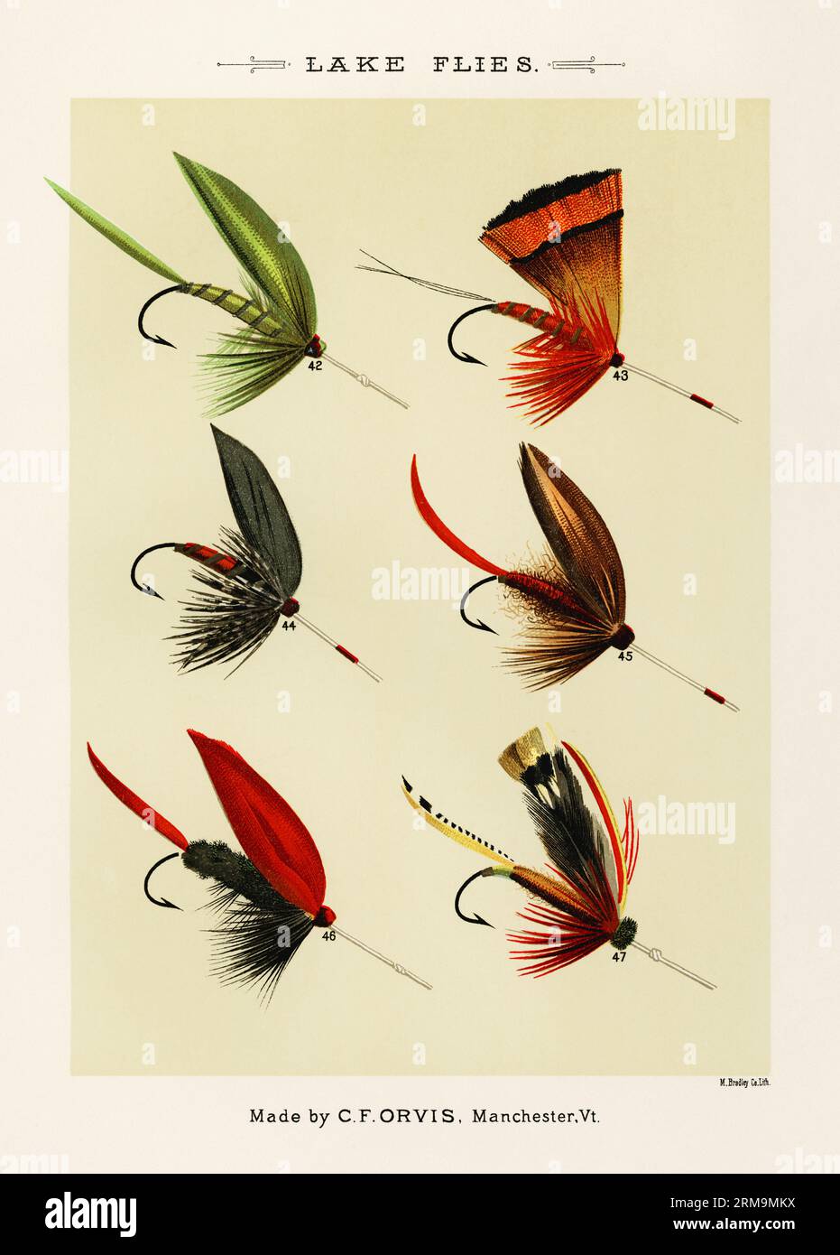 Vintage Illustration of fly fishing hooks: Assorted barbed fly