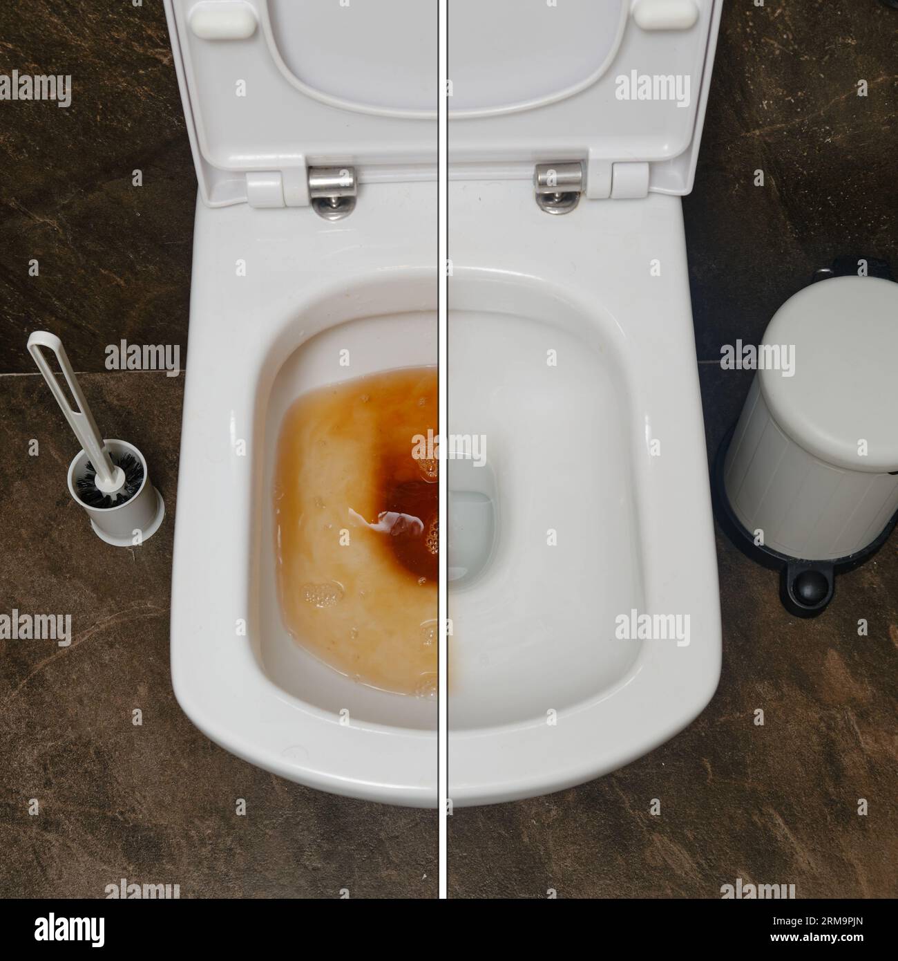 The foul smell from the clog in the toilet bowl was eliminated after