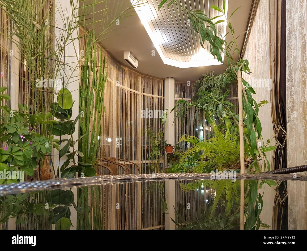 An internal garden with exotic trees and plants against the background ...