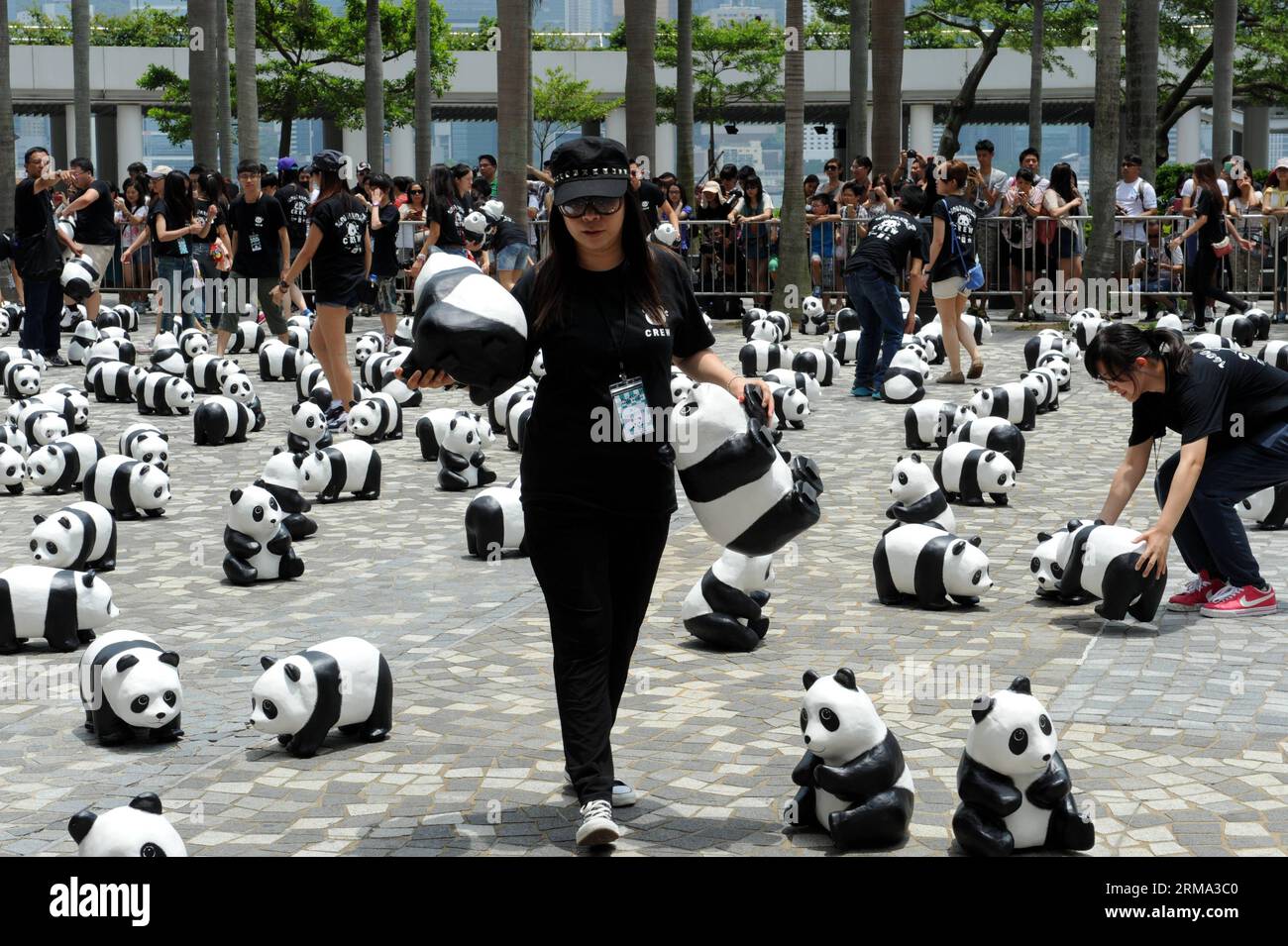 (140614) -- HONG KONG, June 14, 2014 (Xinhua) -- Staff members place paper pandas for an exhibition in Tsim Sha Tsui, south China s Hong Kong, June 14, 2014. A total of 1,600 paper pandas were displayed here Saturday, which were the work of French artist Paulo Grangeon. (Xinhua/Lo Ping Fai) (hdt) CHINA-HONG KONG-PAPER PANDA (CN) PUBLICATIONxNOTxINxCHN   Hong Kong June 14 2014 XINHUA Staff Members Place Paper Pandas for to Exhibition in Tsim Sha Tsui South China S Hong Kong June 14 2014 a total of 1 600 Paper Pandas Were displayed Here Saturday Which Were The Work of French Artist Paulo  XINHUA Stock Photo