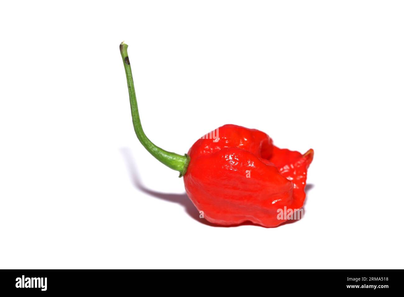 Red hot chili peppers isolated on white Stock Photo - Alamy