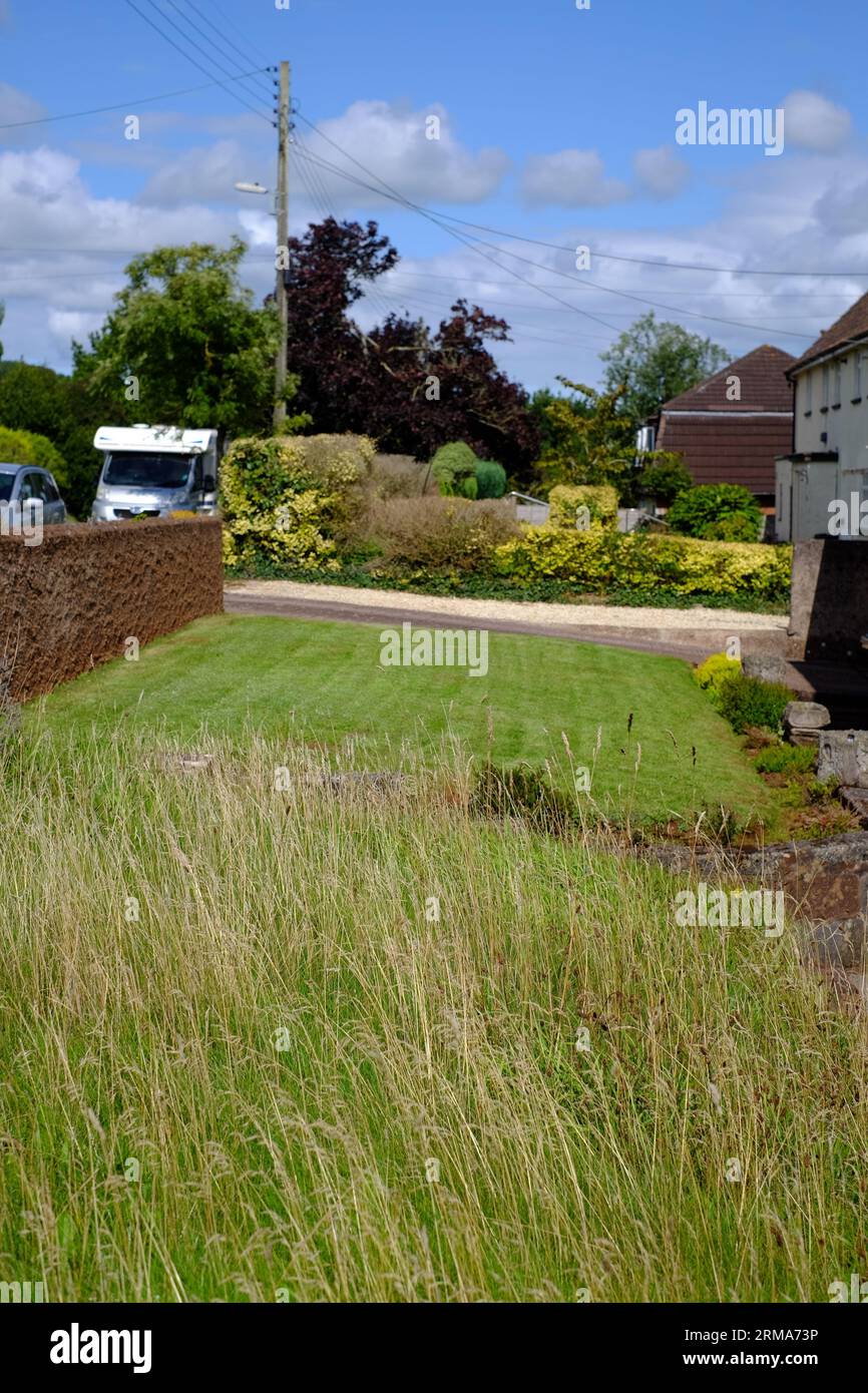 One neighbour embraces no mow may and leaves lawn to grow tall and wild. Stock Photo