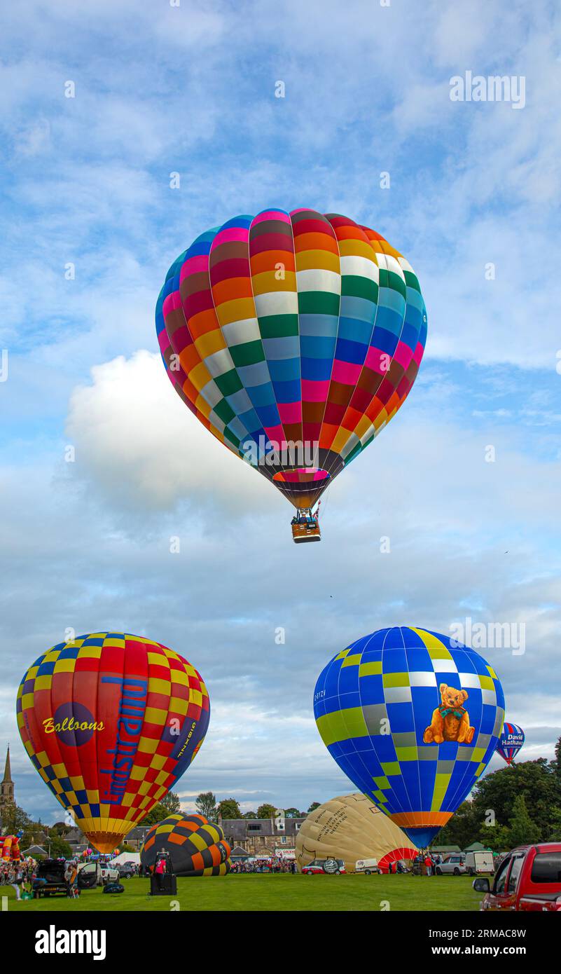 A hot-air balloon with passengers taking off above two other balloons, and others being inflated, during the Strathaven Balloon Festival 2023 in Strat Stock Photo