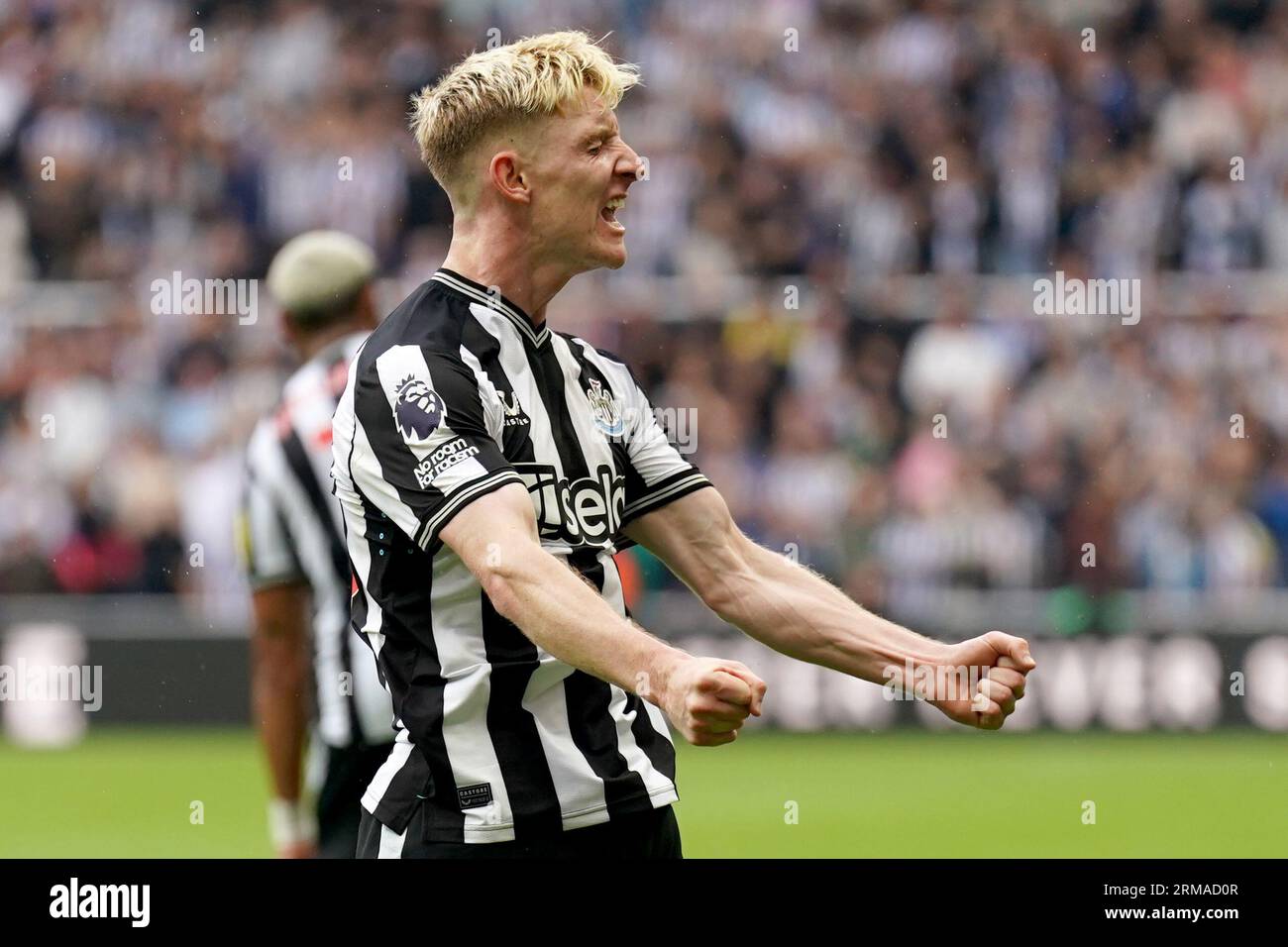 newcastle-united-s-anthony-gordon-celebrates-after-scoring-his-sides