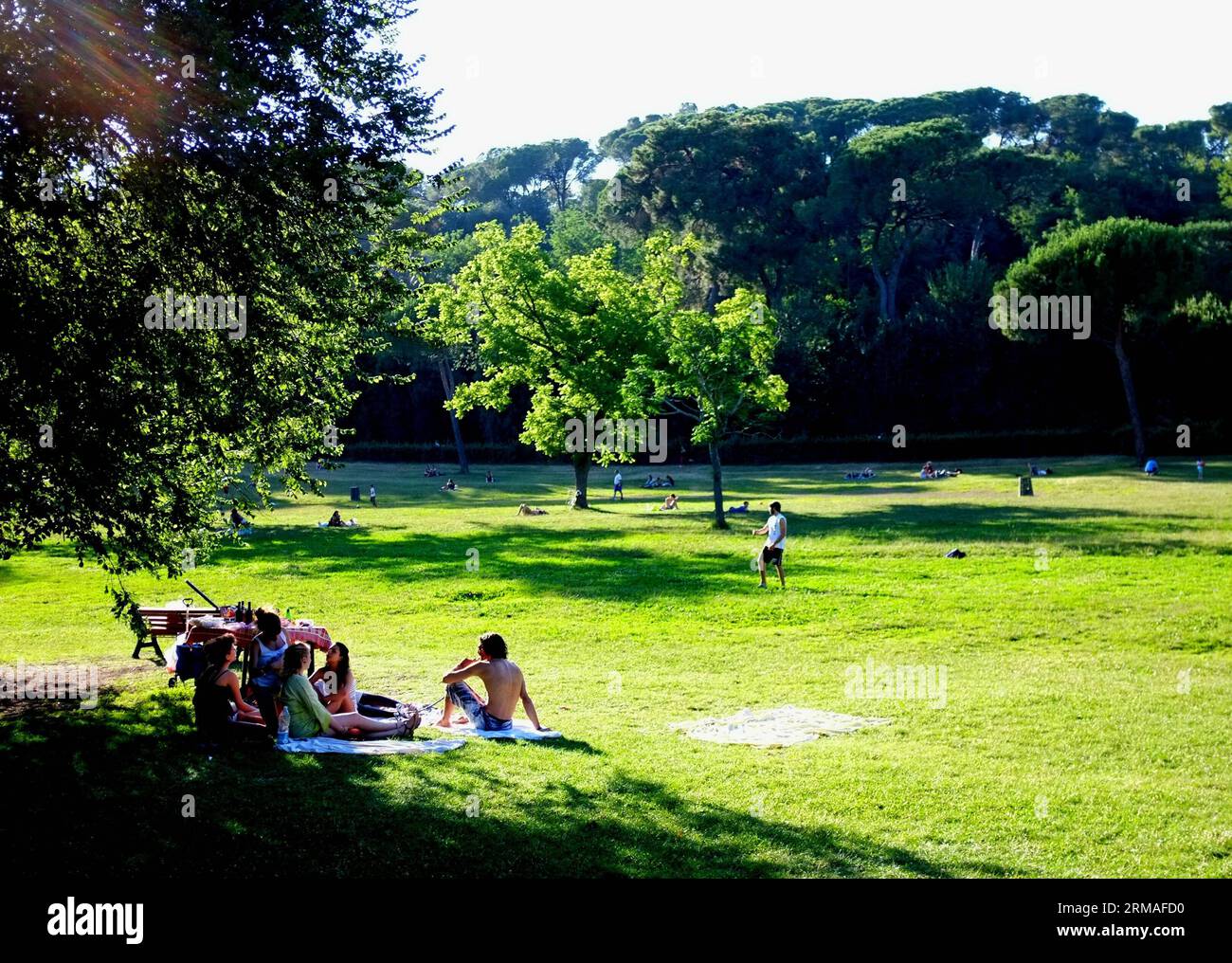 (140706) -- ROME, July 6, 2014 (Xinhua) -- People have picnic in Villa Ada park in Rome, Italy, on July 6, 2014. (Xinhua/Xu Nizhi) ITALY-ROME-SUMMER PUBLICATIONxNOTxINxCHN   Rome July 6 2014 XINHUA Celebrities have Picnic in Villa Ada Park in Rome Italy ON July 6 2014 XINHUA Xu Nizhi Italy Rome Summer PUBLICATIONxNOTxINxCHN Stock Photo