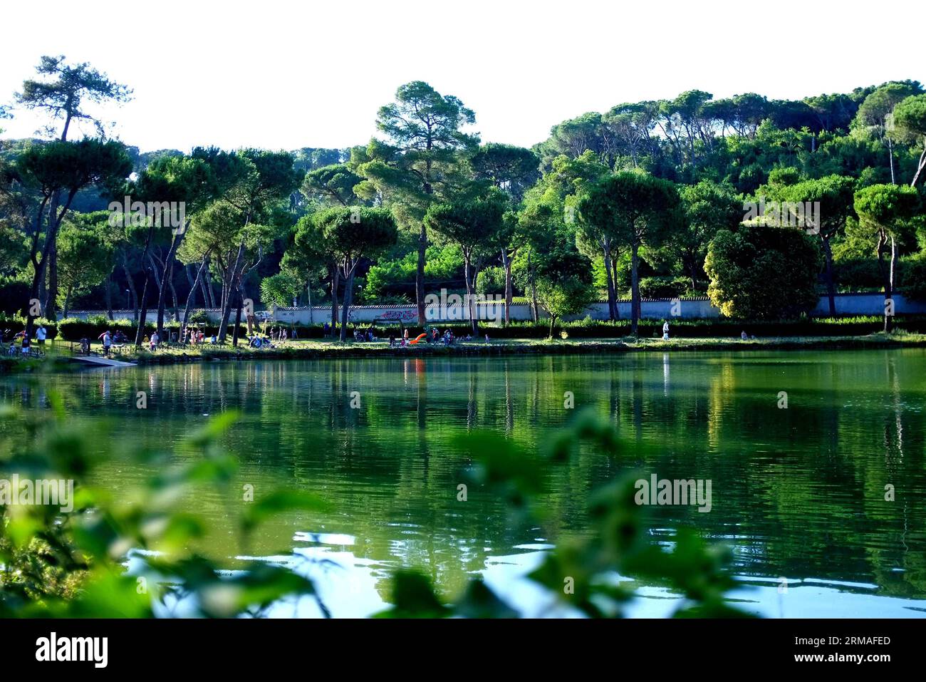 (140706) -- ROME, July 6, 2014 (Xinhua) -- People enjoy themselves in Villa Ada park in Rome, Italy, on July 6, 2014. (Xinhua/Xu Nizhi) ITALY-ROME-SUMMER PUBLICATIONxNOTxINxCHN   Rome July 6 2014 XINHUA Celebrities Enjoy themselves in Villa Ada Park in Rome Italy ON July 6 2014 XINHUA Xu Nizhi Italy Rome Summer PUBLICATIONxNOTxINxCHN Stock Photo