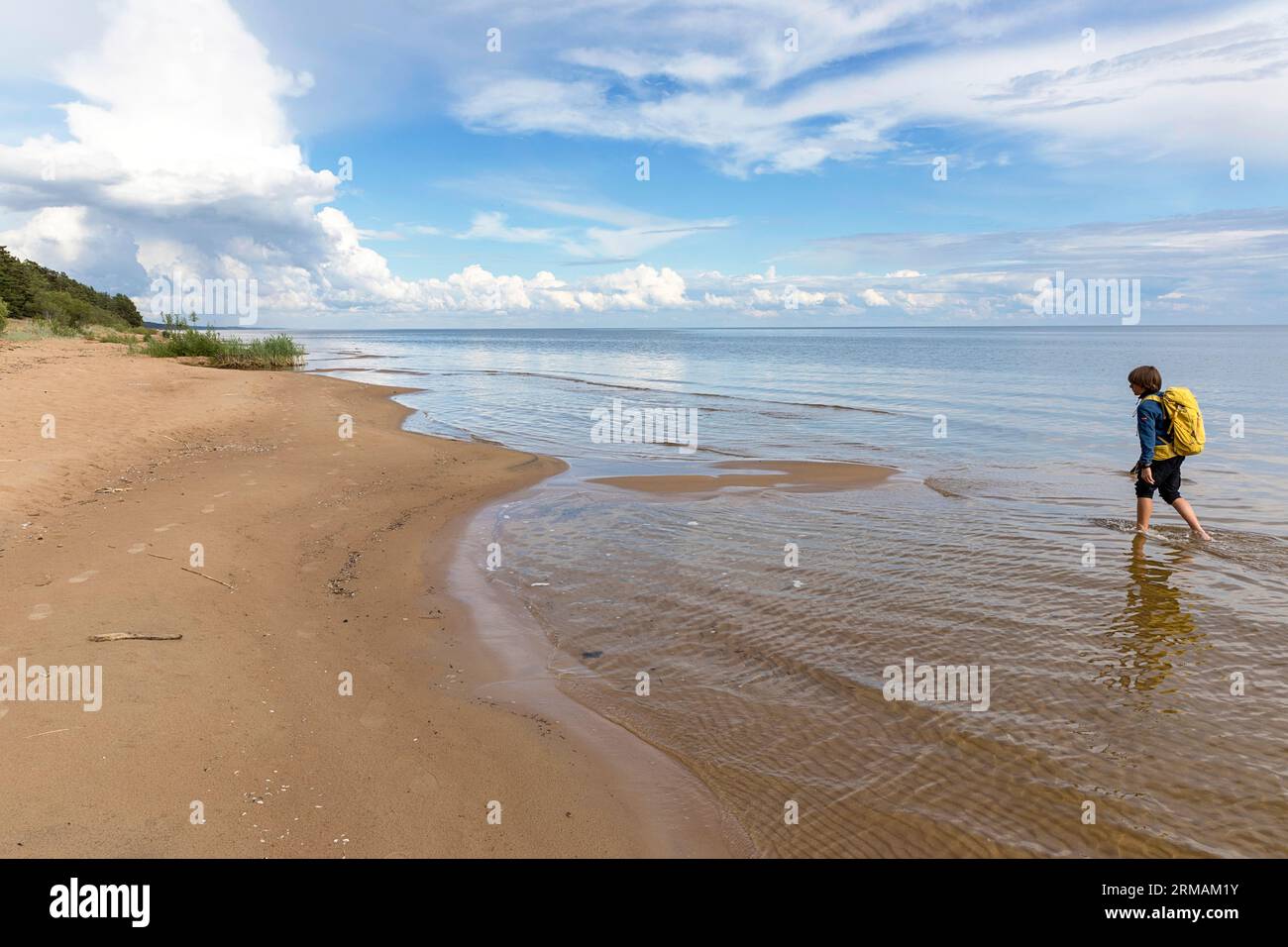 Tourist hiker exploring beautiful sandy Kauksi beach on Peipus lake on calm summer day in Estonia, Stock Photo