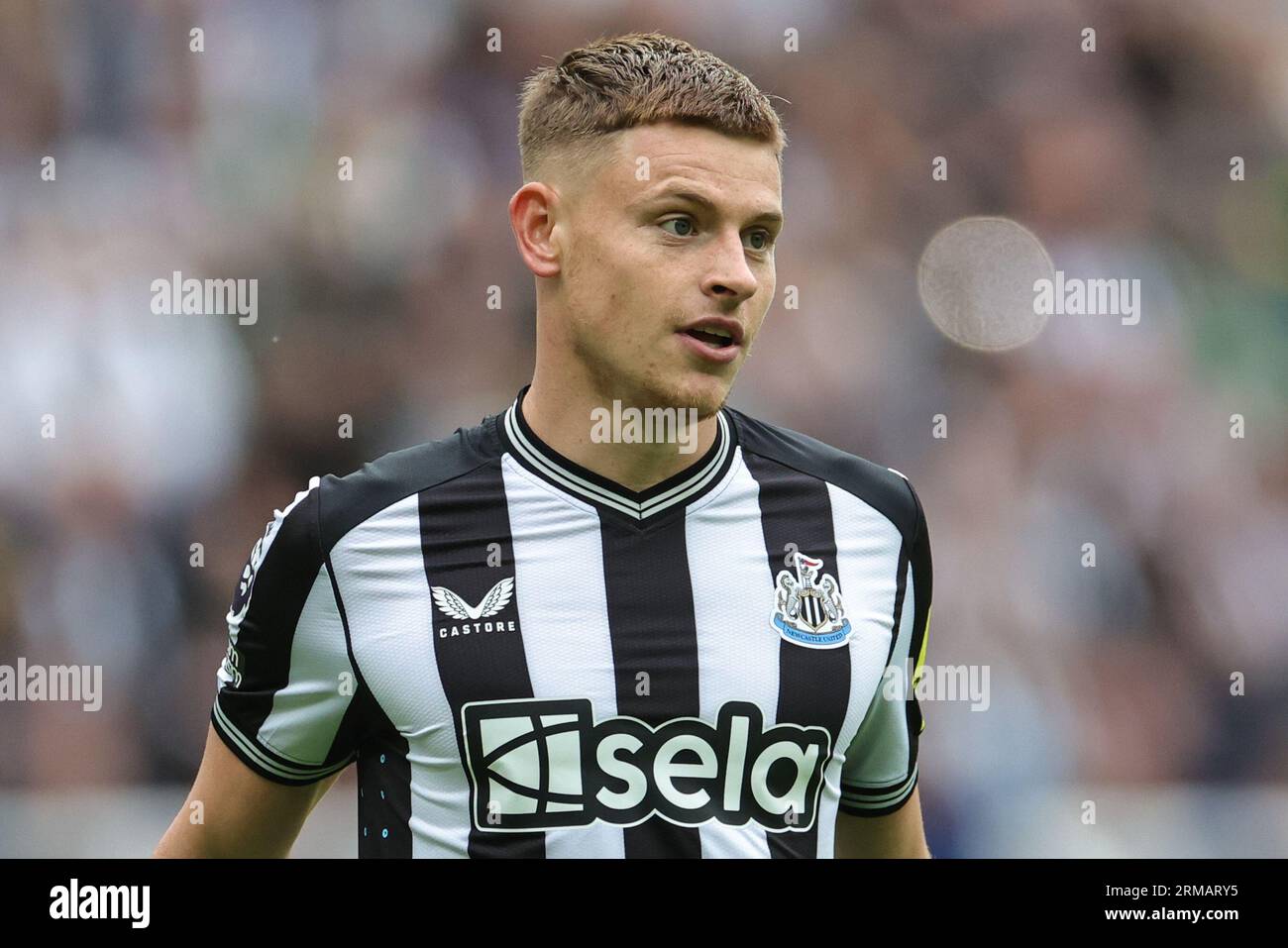 Harvey Barnes #15 of Newcastle United during the Premier League