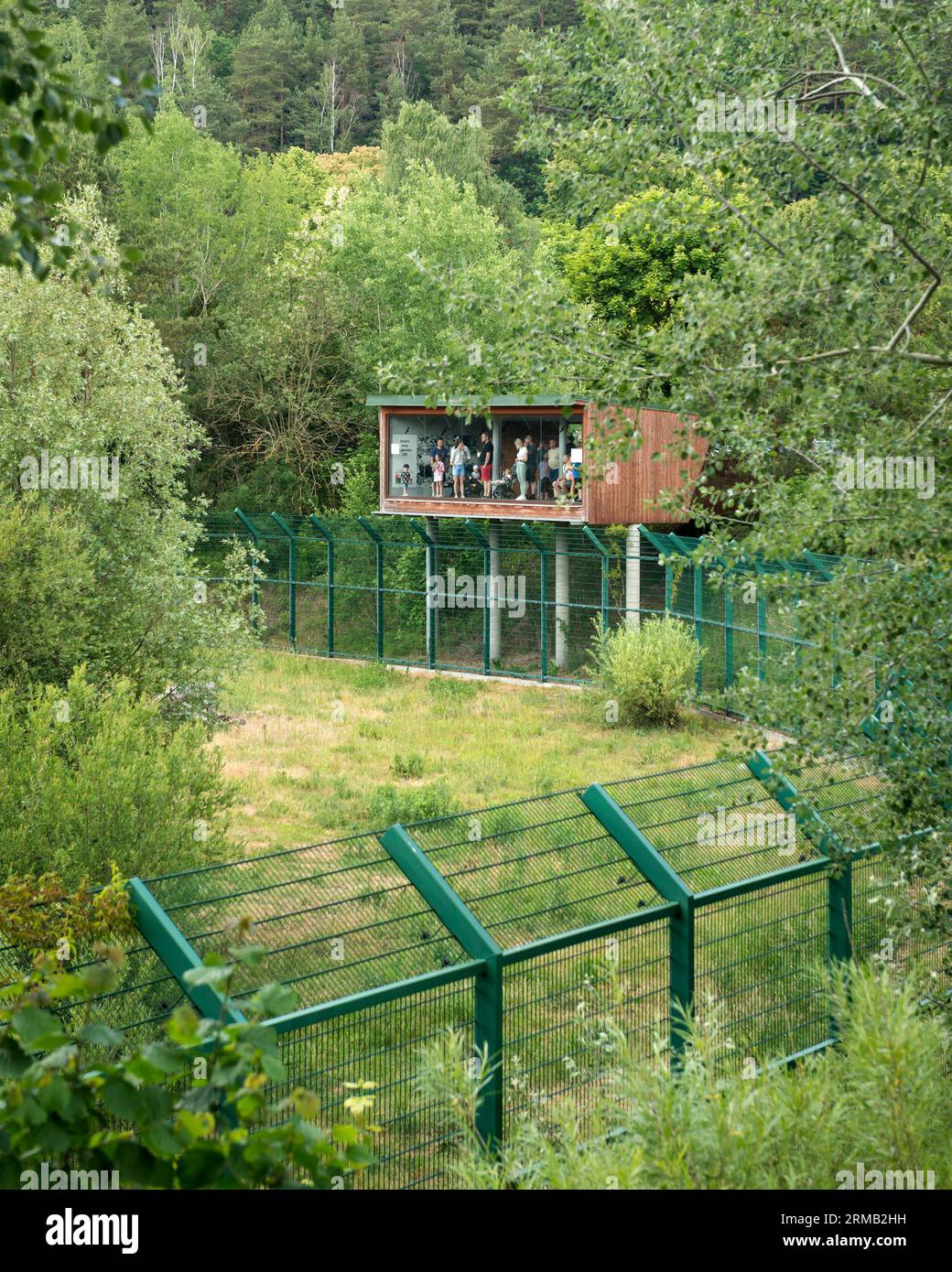 Glass viewing platform at the Lion's den in the Gdansk Zoo, Oliwa