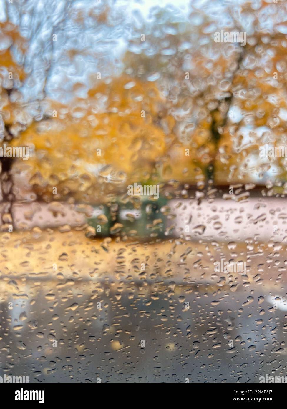 Maple leaf dew drops hi-res stock photography and images - Alamy