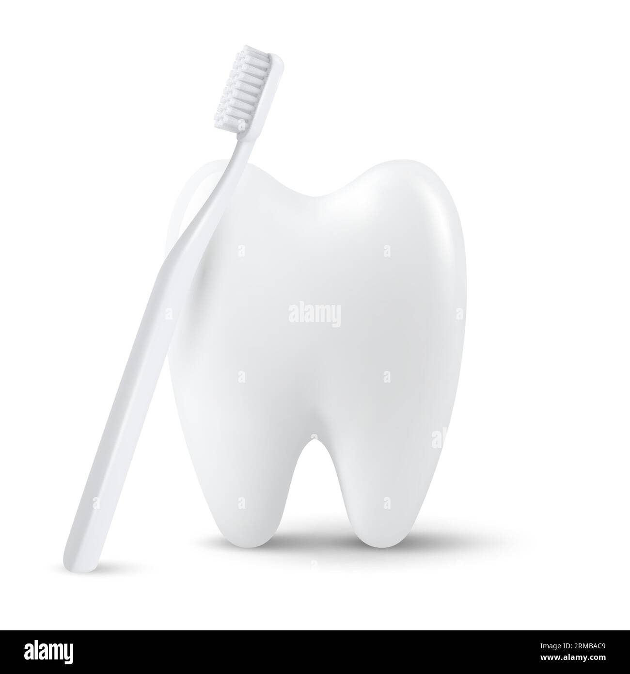 Vector 3d Realistic Tooth with Toothbrush Isolated on White Background ...