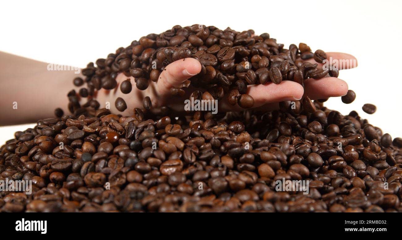 Coffee Beans Falling against White Background Stock Photo - Alamy