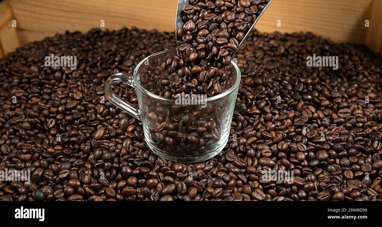 Coffee beans falling out cup hi-res stock photography and images - Alamy