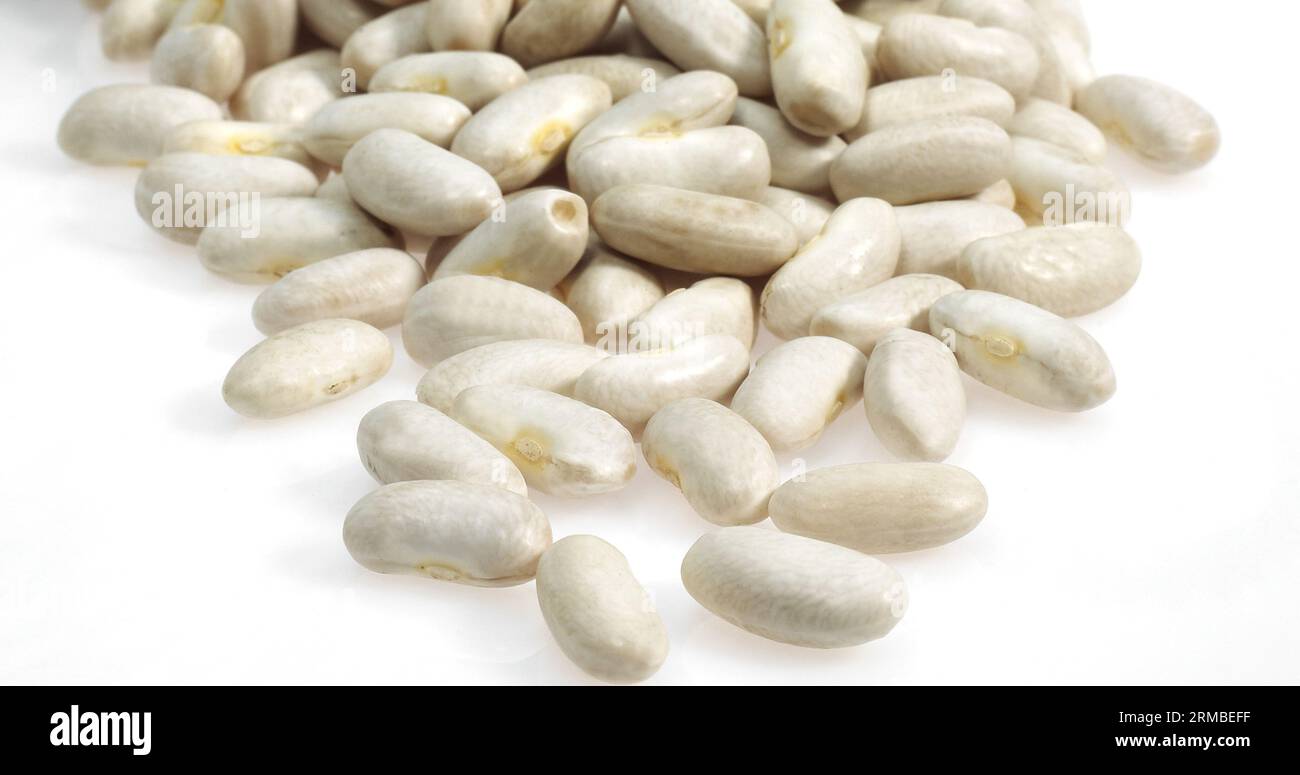 French White Kidney Beans or Mogette From Vendee, phaseolus vulgaris Stock Photo