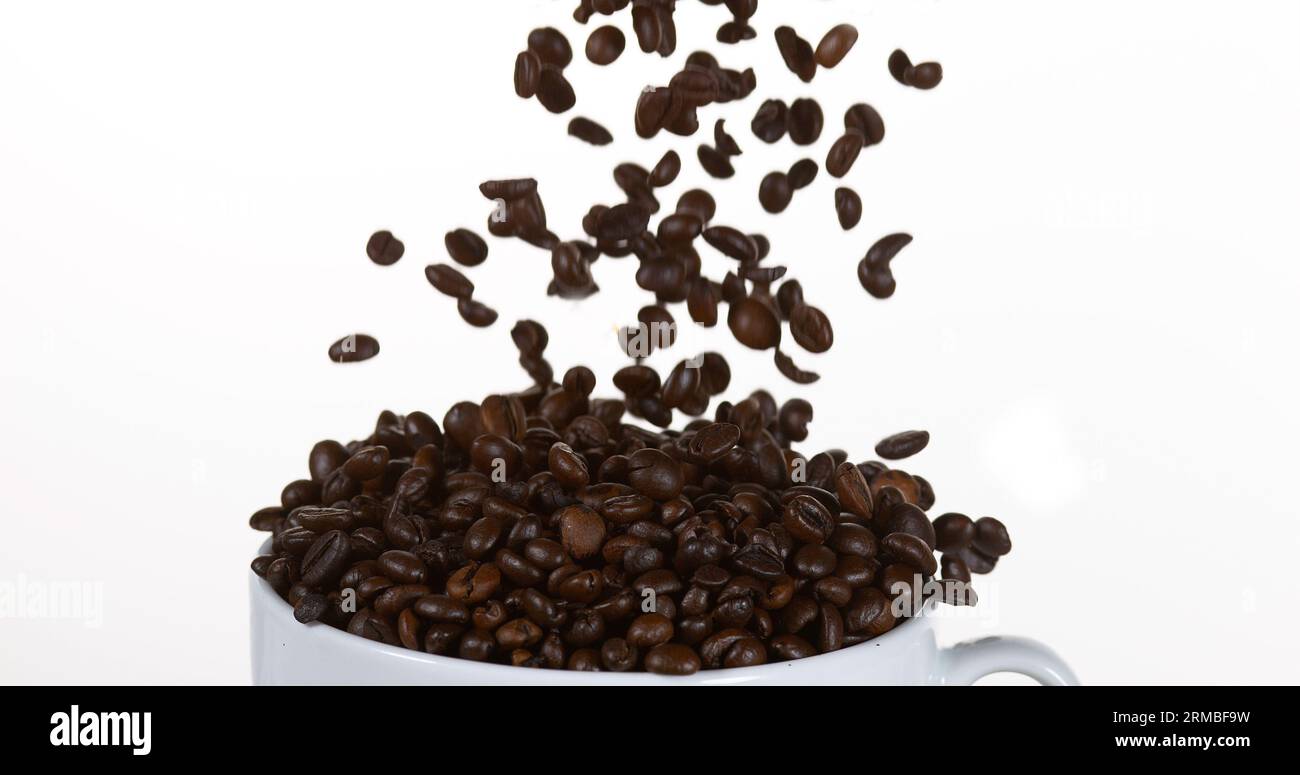 Coffee Beans Falling into a Cup against White Background Stock Photo ...