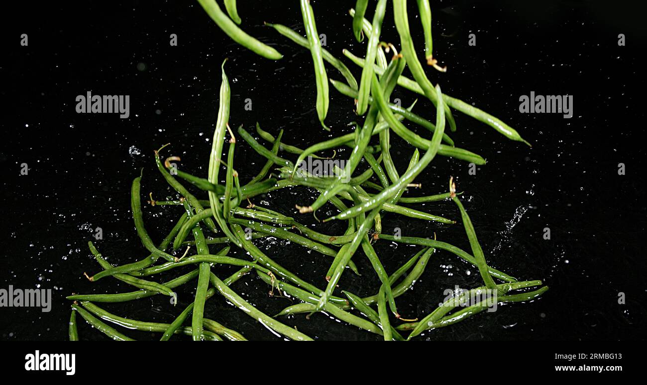 Green Beans or French Beans, phaseolus vulgaris, Vegetable falling on Water Stock Photo