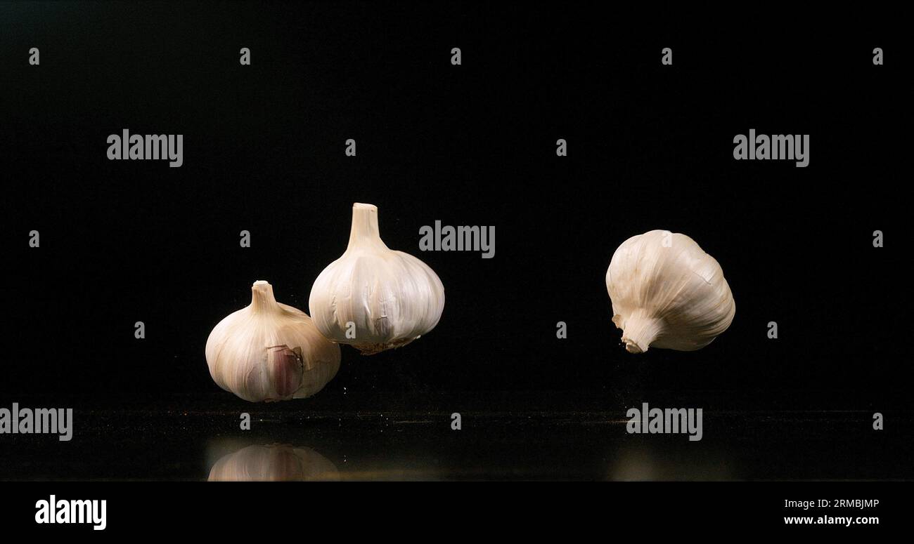 Garlic, allium savitum, falling against Black Background Stock Photo ...