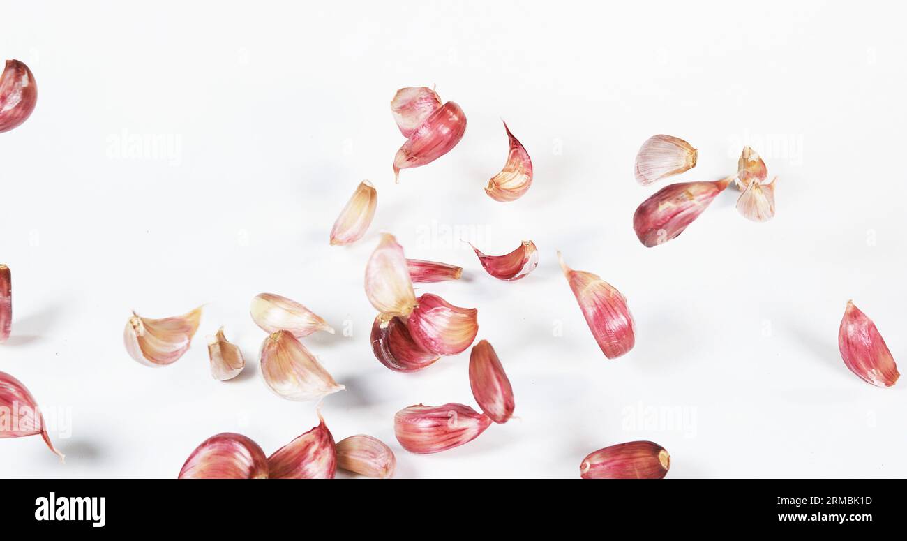 Garlic, allium savitum, Falling against White Background Stock Photo ...