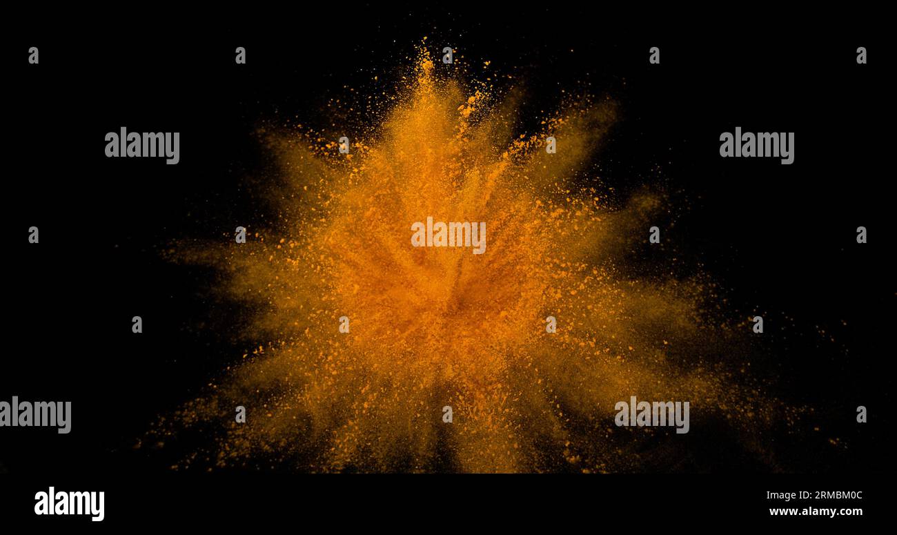 Turmeric, curcuma longa, Powder Exploding against Black Background ...