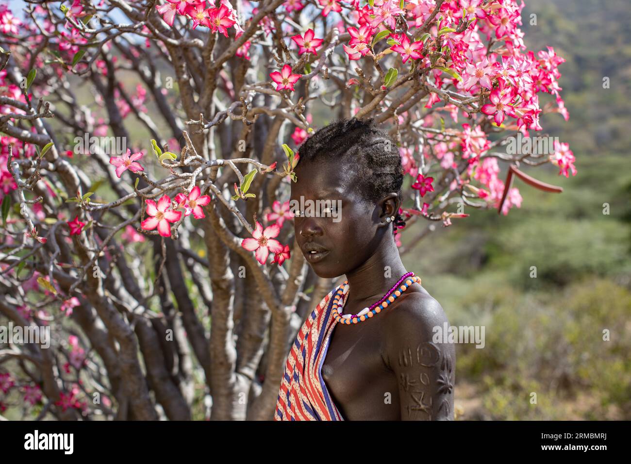 Girl with scars from Larim tribe stands near adenium tree in bloom Stock Photo
