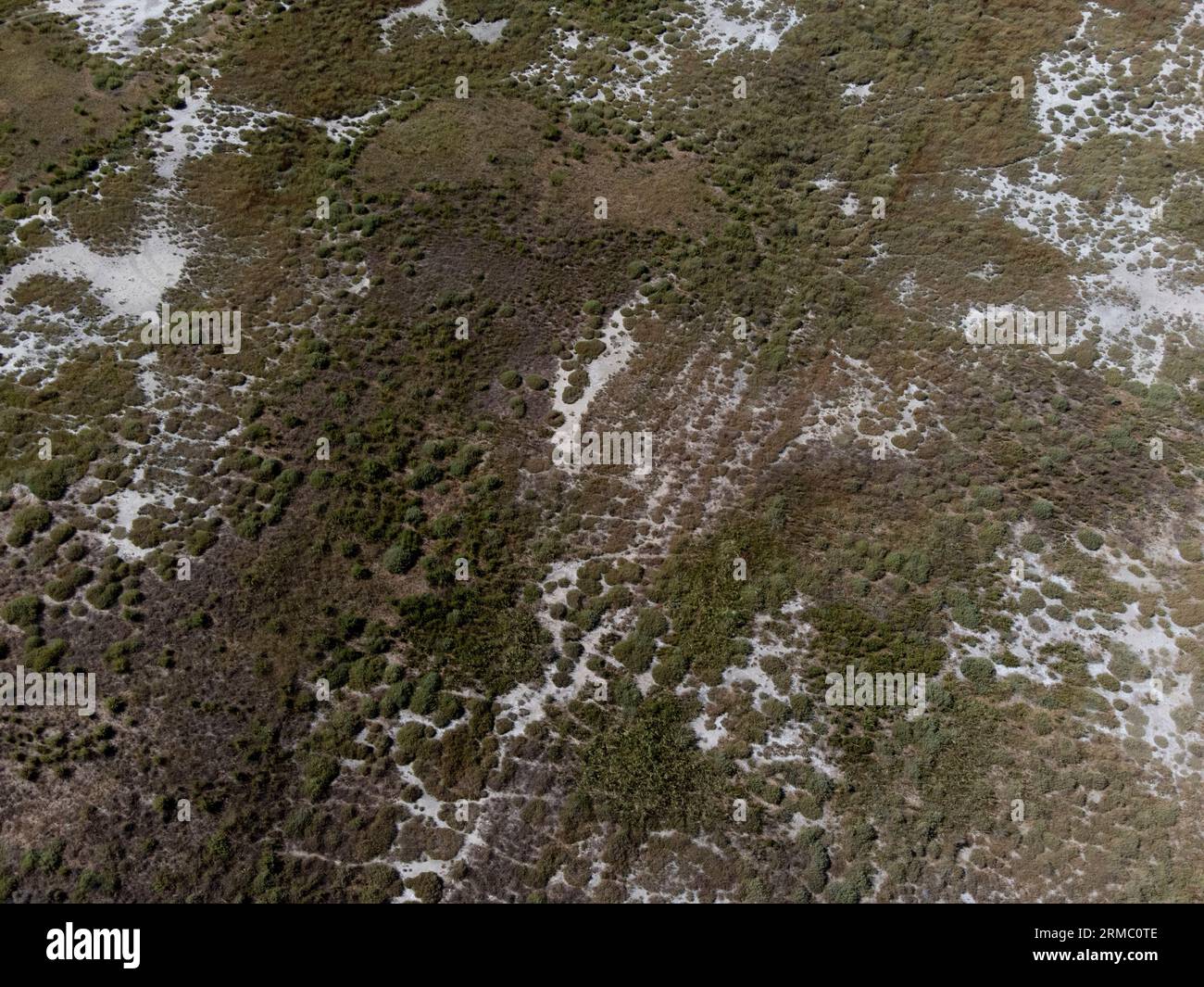 Aerial view of cultivated field Stock Photo - Alamy