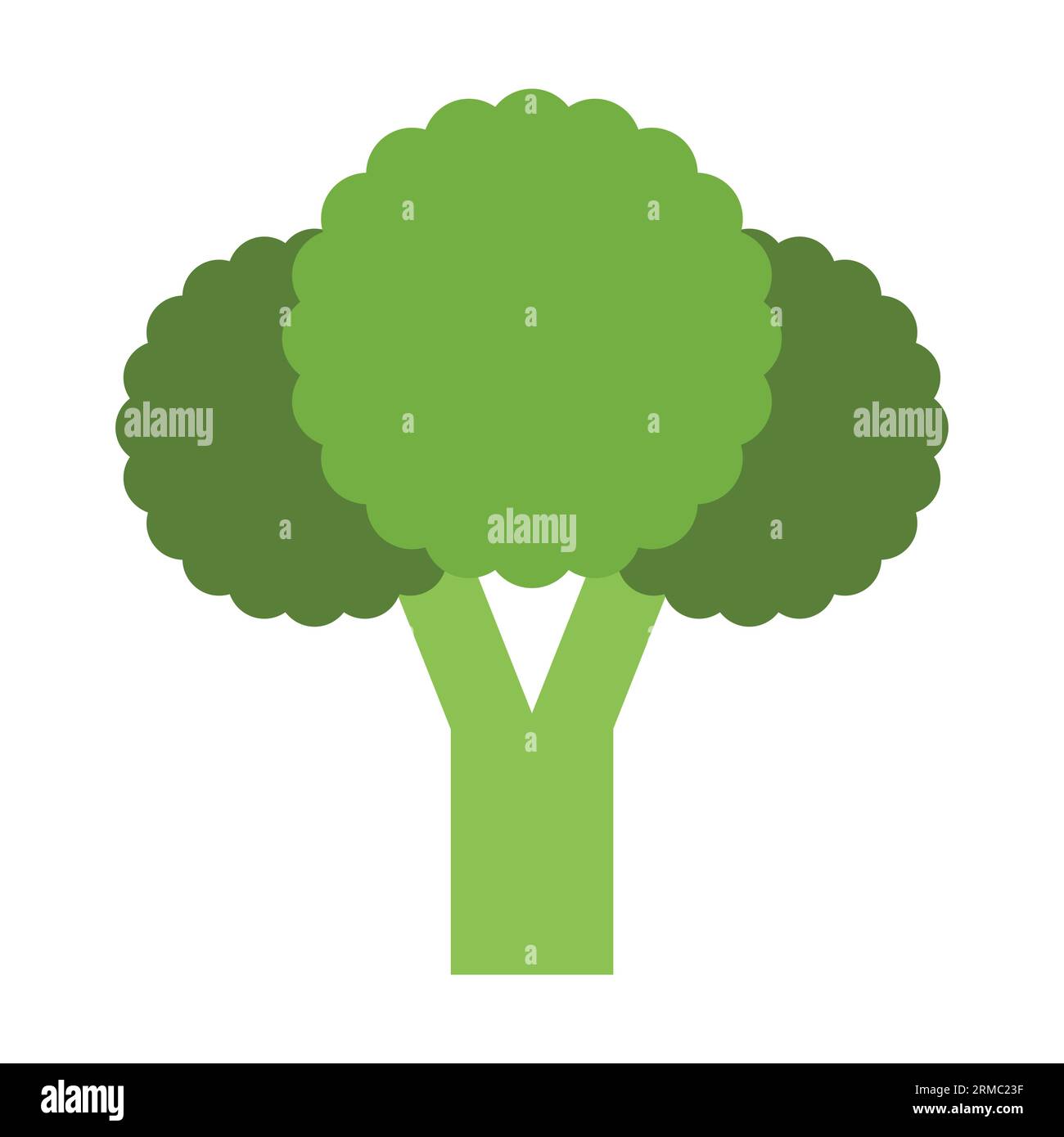 Healthy green broccoli Stock Vector Image & Art Alamy