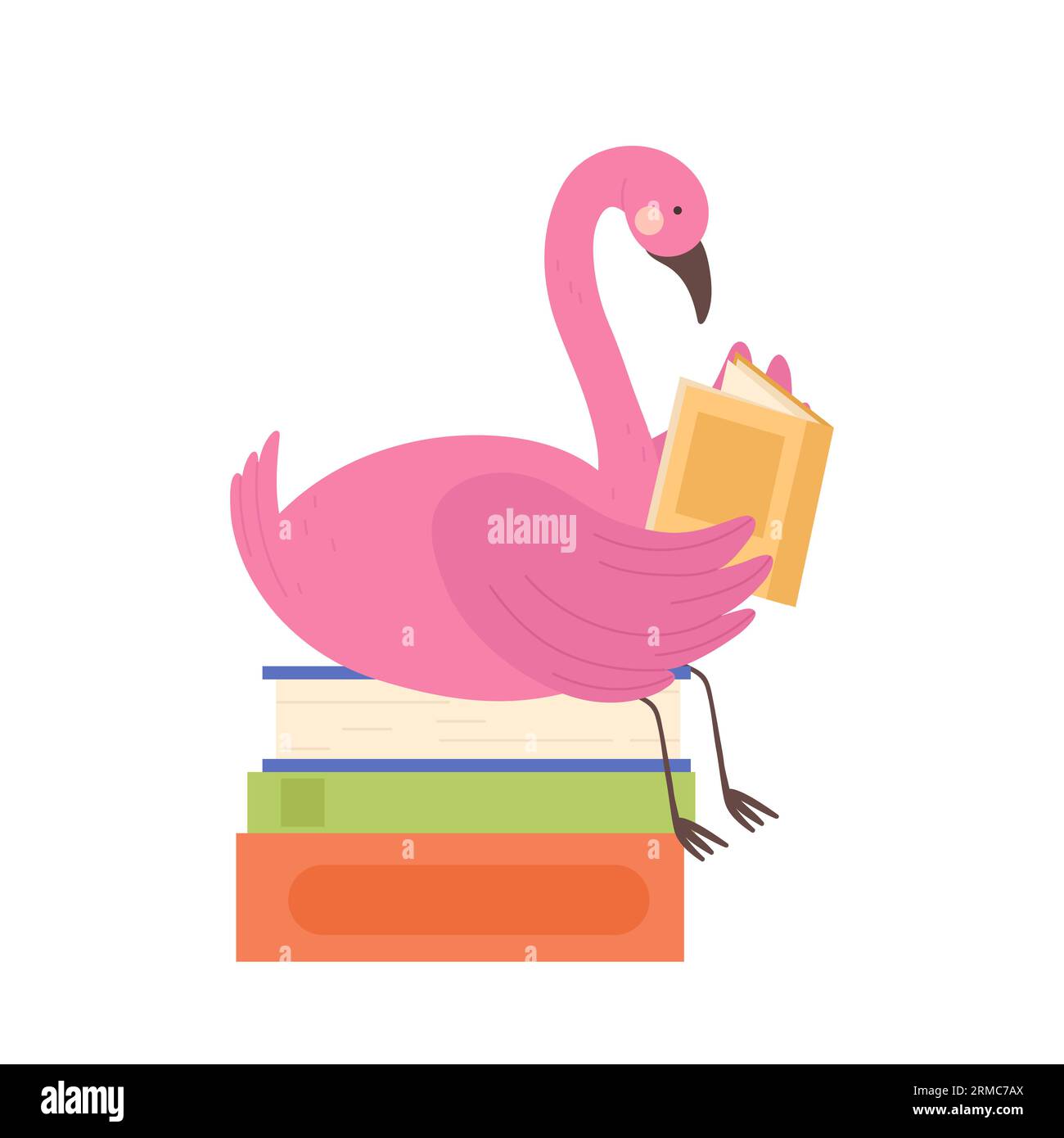 Flamingo sitting on books and reading. Zoo bird book lover, library