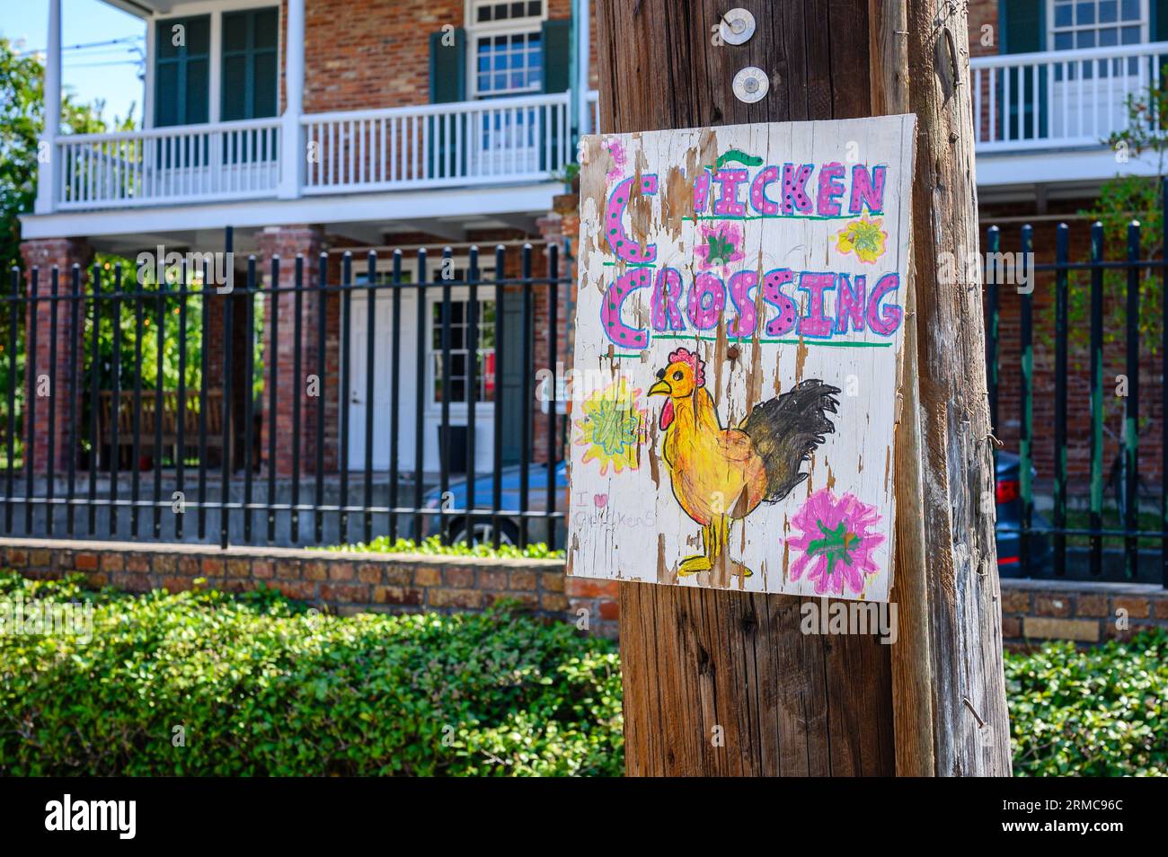 NEW ORLEANS, LA, USA - AUGUST 25, 2023: Closeup of hand painted 'Chicken Crossing' sign on utility pole at St. Andrew's Chalstrom parish house Stock Photo