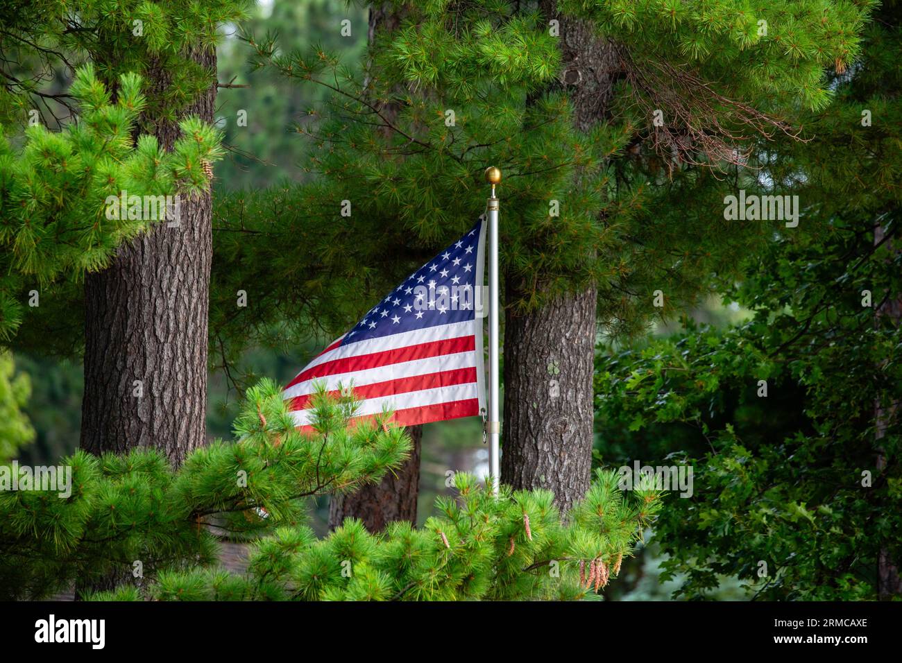 American flag on a flag pole between trees, horizontal Stock Photo Alamy