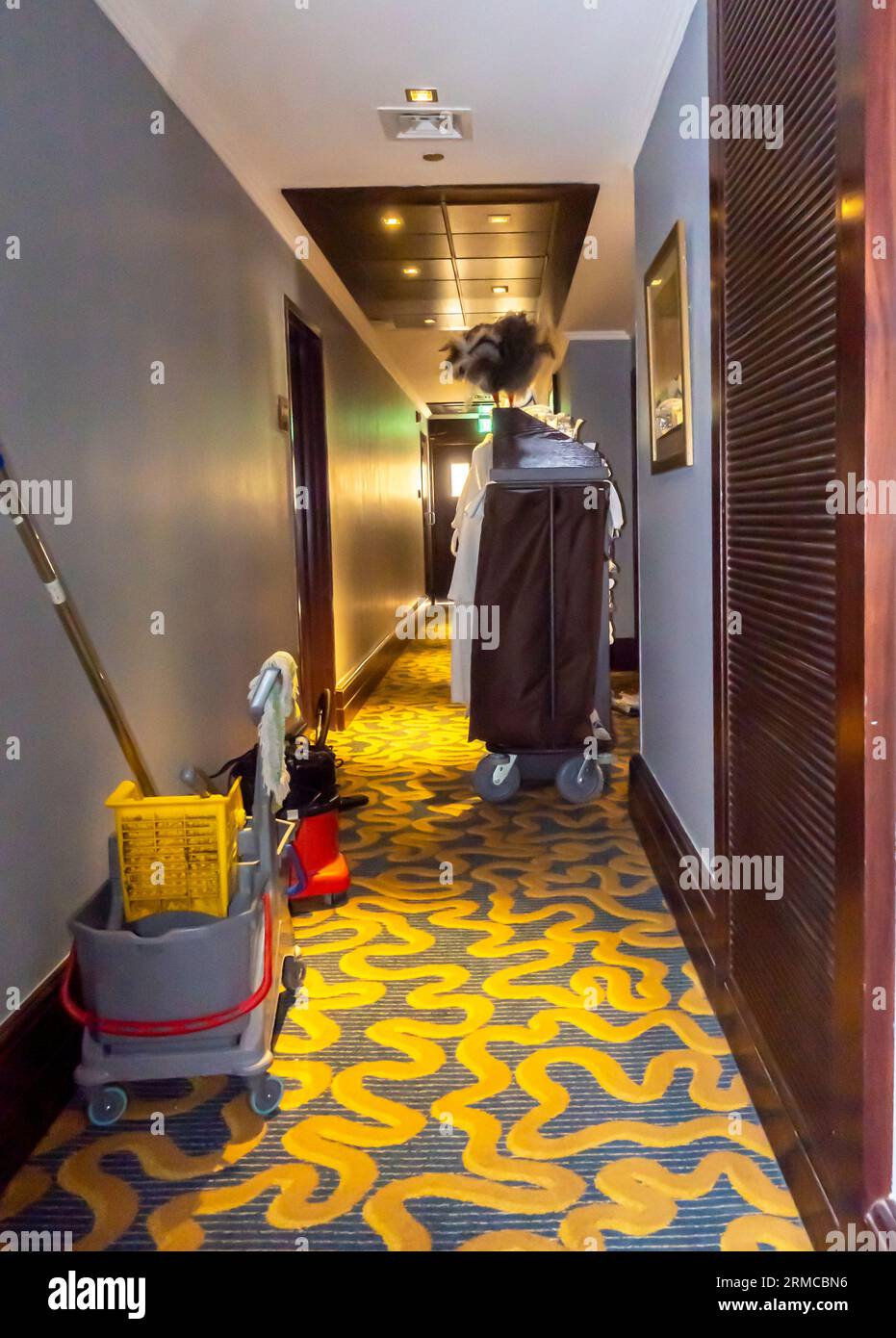 Housekeeping cart in a hotel corridor. Cleaning hospitality housekeeper's trolley beside a room entrance Stock Photo