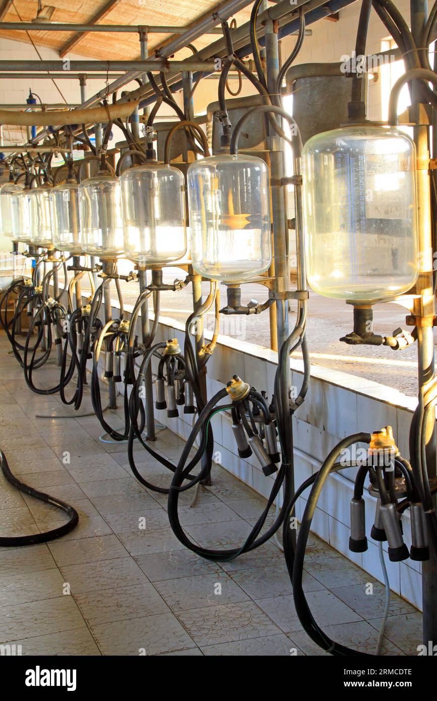 glass milk storage tank in a milking workshop, luannan county, china Stock Photo