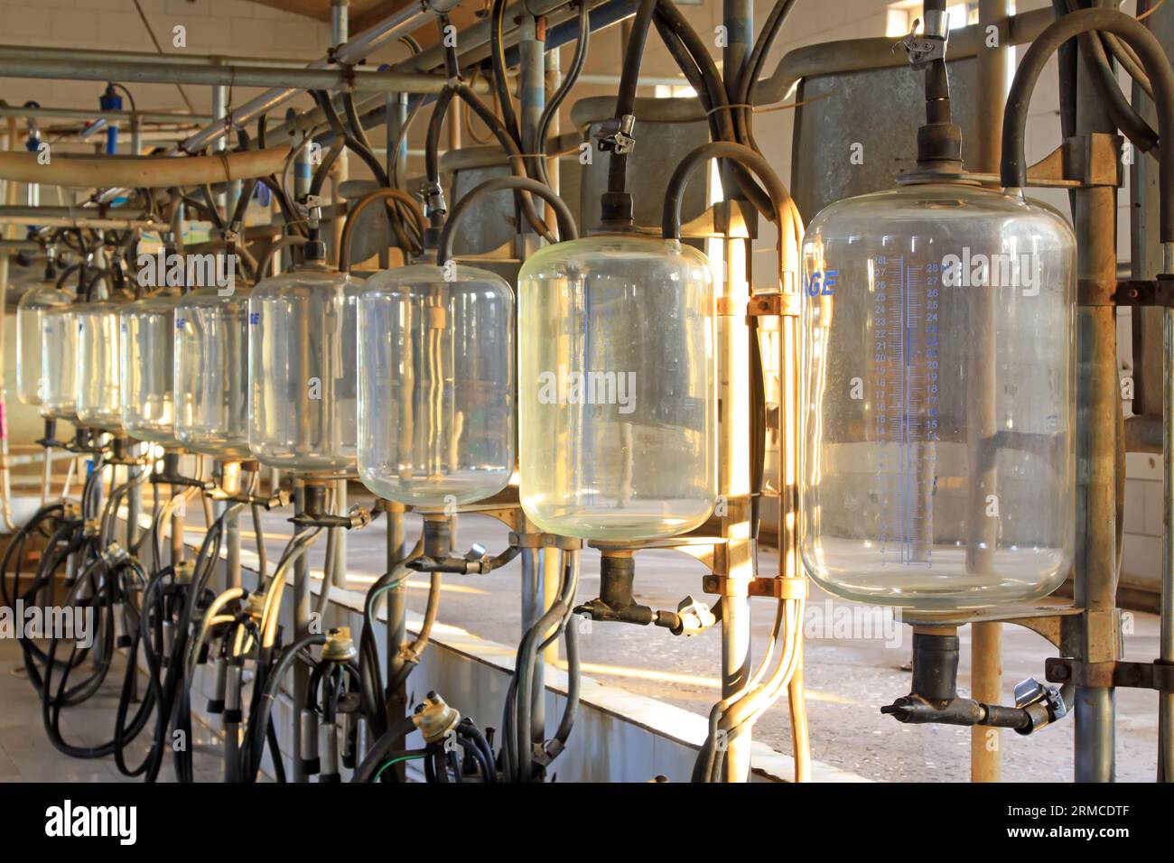 glass milk storage tank in a milking workshop, luannan county, china Stock Photo