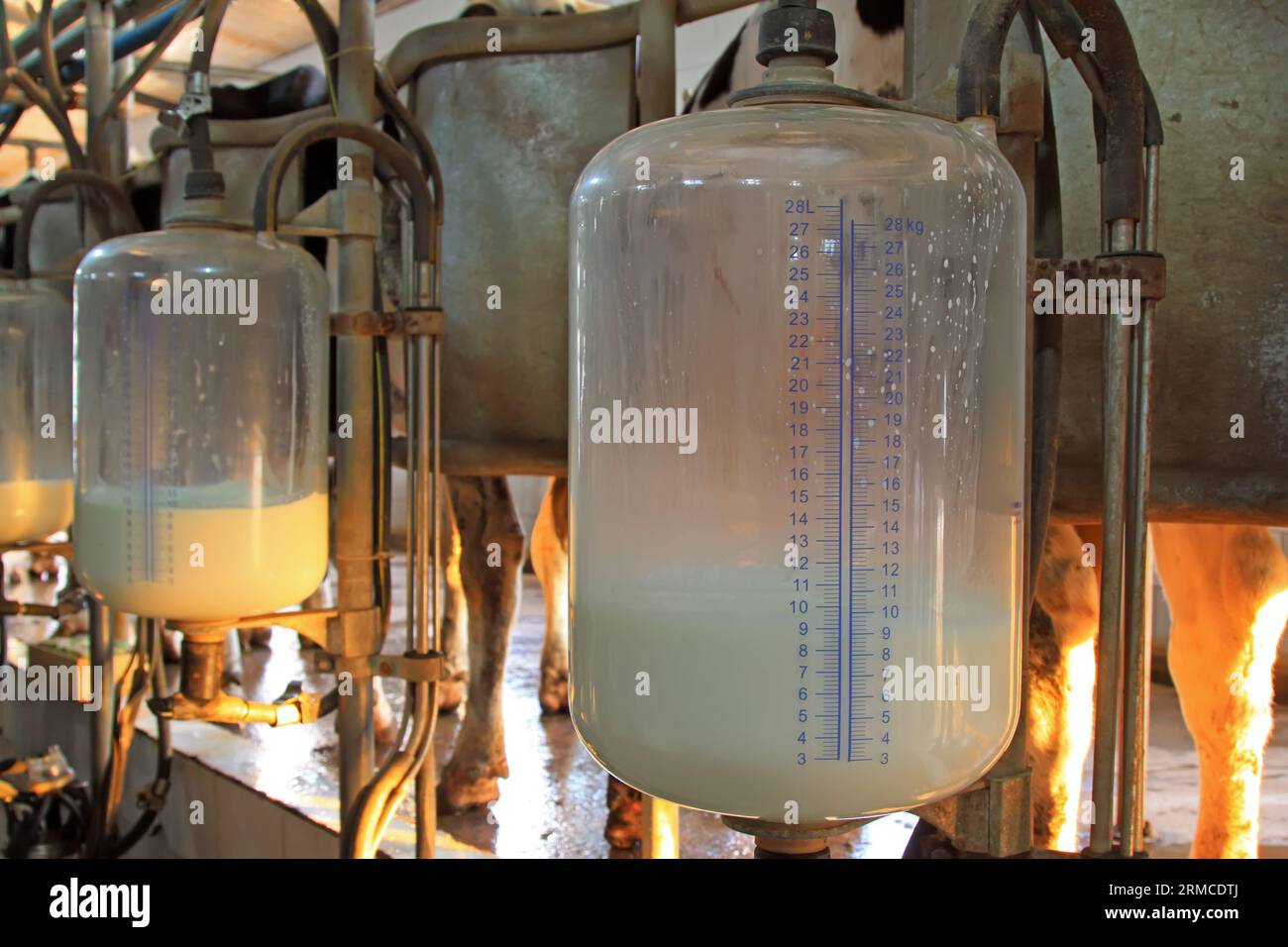 glass milk storage tank in a milking workshop, luannan county, china Stock Photo