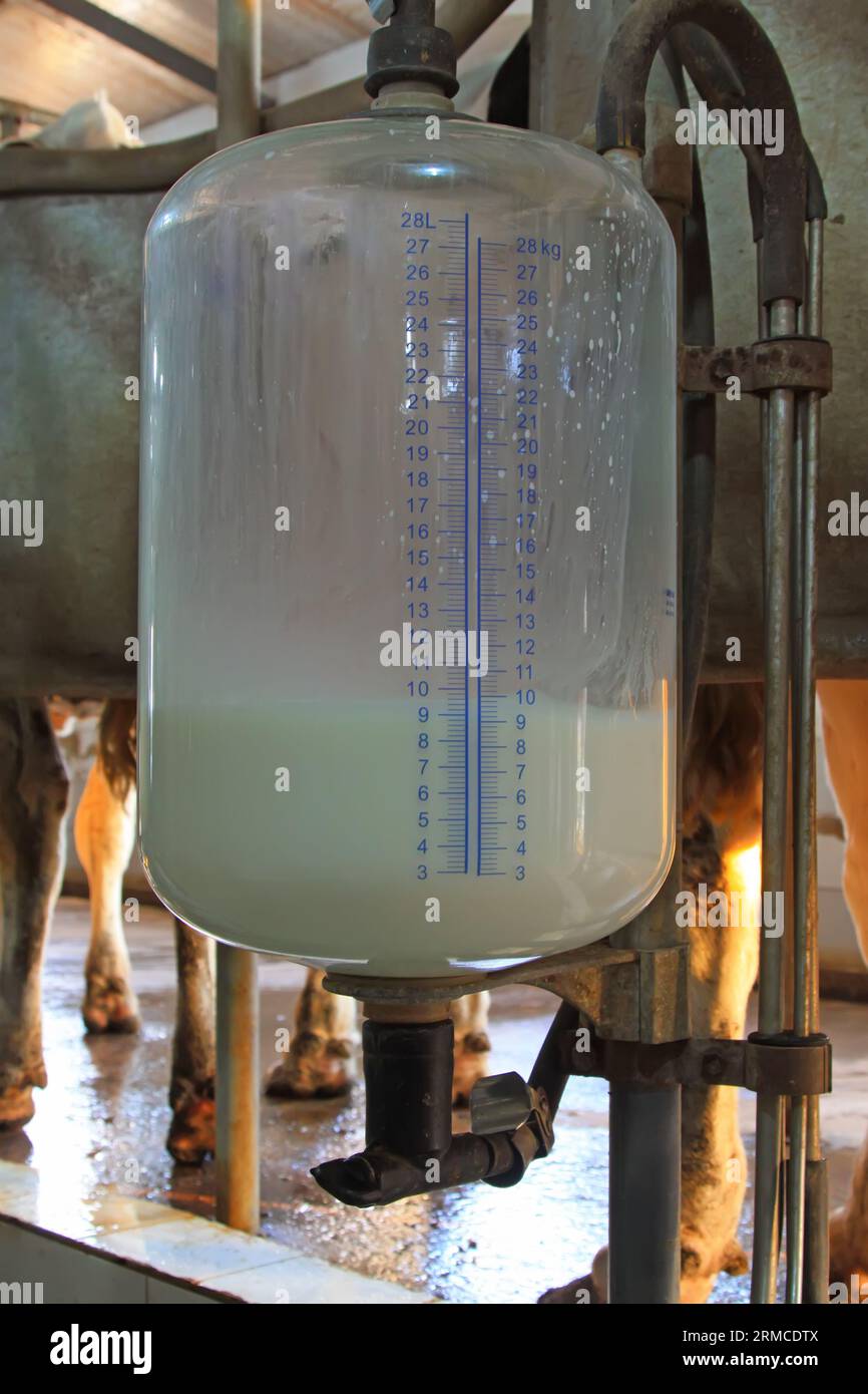 glass milk storage tank in a milking workshop, luannan county, china Stock Photo