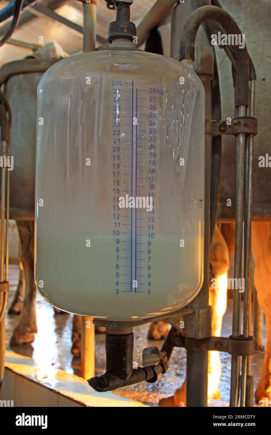 glass milk storage tank in a milking workshop, luannan county, china Stock Photo