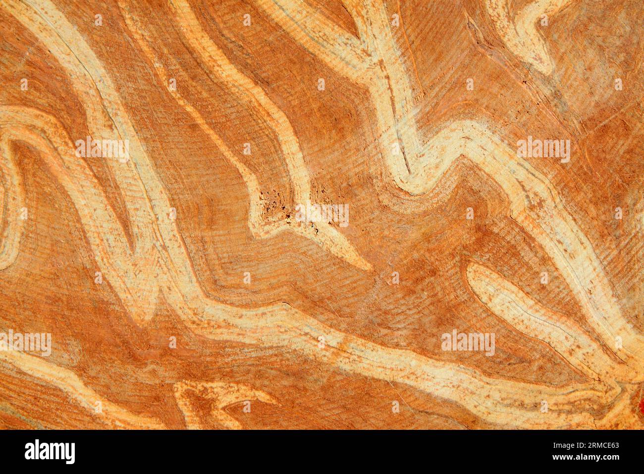 wood texture, there is a feeling of nostalgia Stock Photo