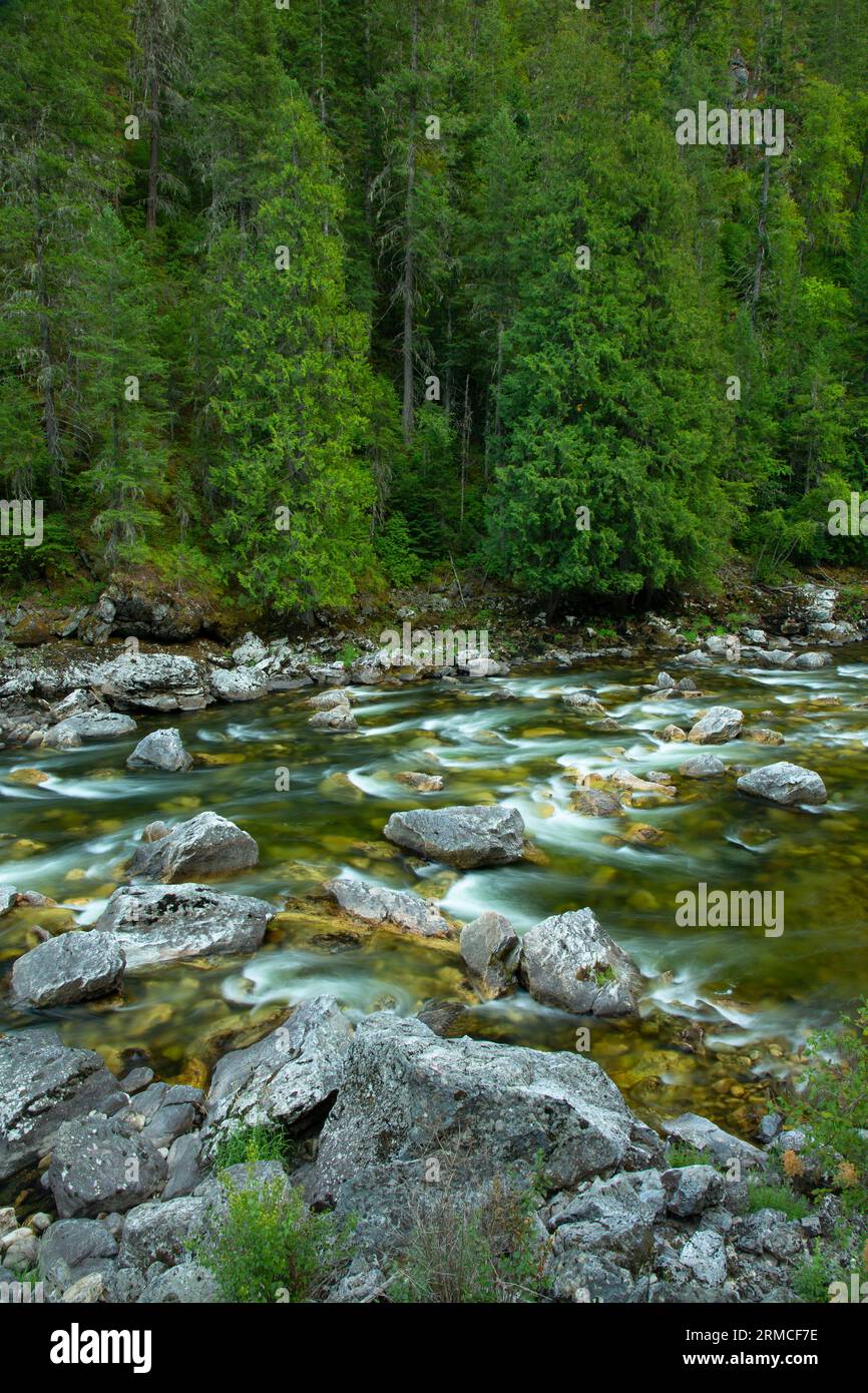 Lochsa Wild and Scenic River, Clearwater National Forest, Northwest Passage Scenic Byway, Idaho Stock Photo