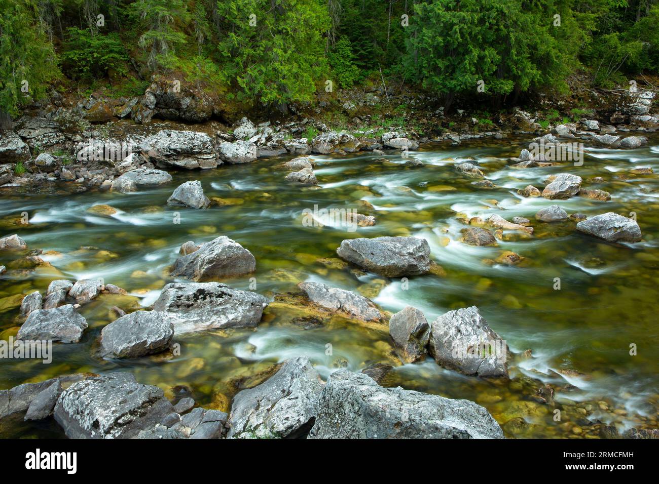 Lochsa Wild and Scenic River, Clearwater National Forest, Northwest Passage Scenic Byway, Idaho Stock Photo