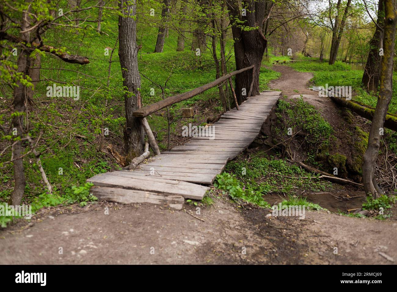 wooden bridge in the forest Stock Photo - Alamy