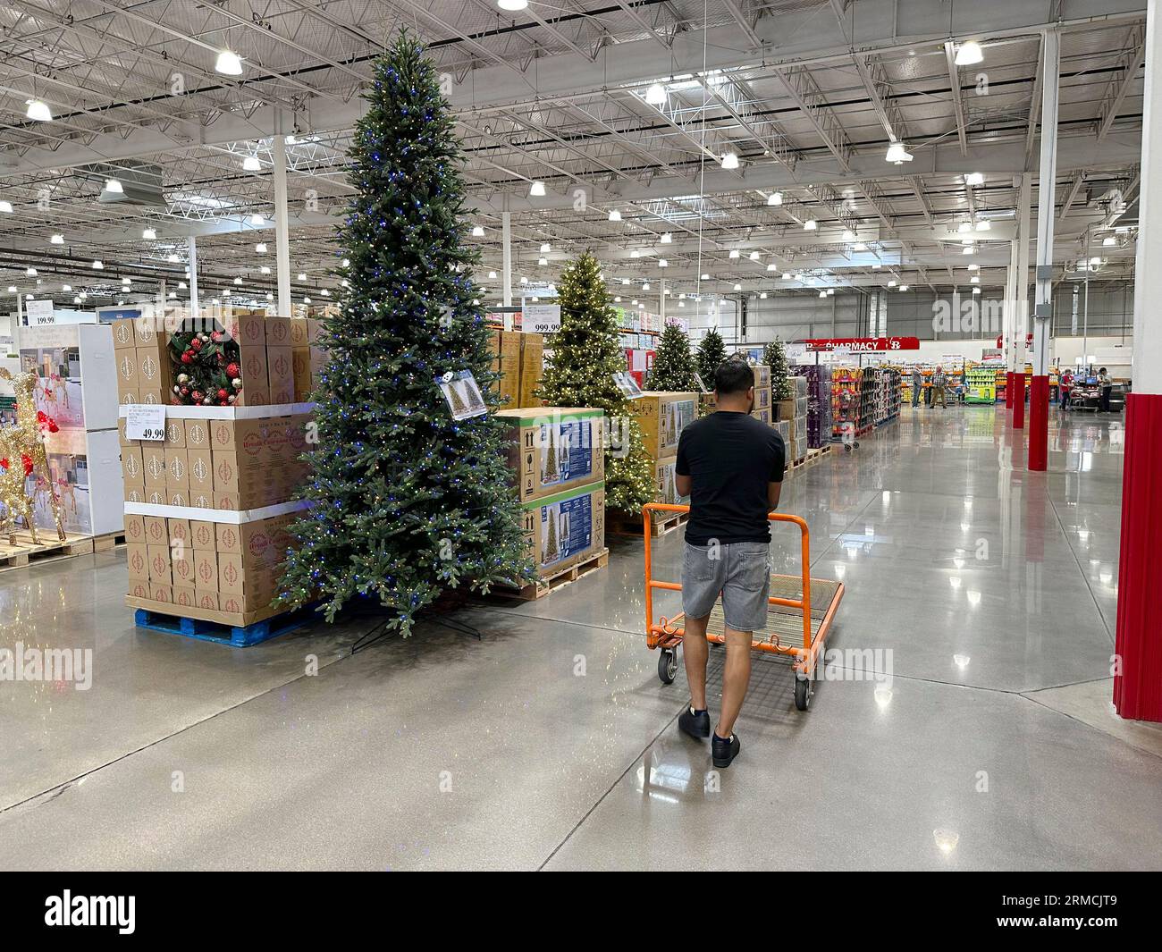 Has anyone bought the Costco Christmas Tree and check to see which
