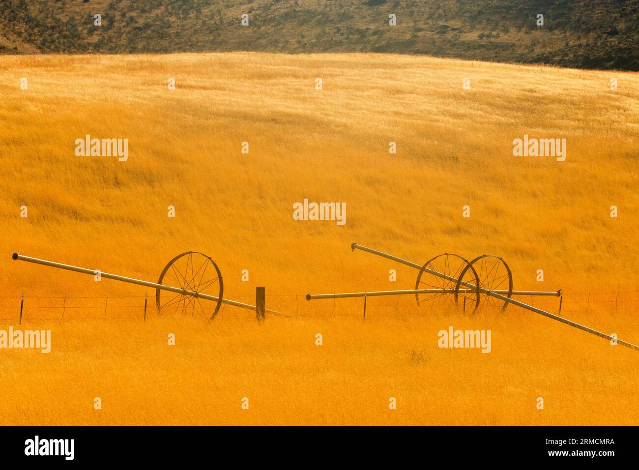 Irrigation pipe hi-res stock photography and images - Alamy