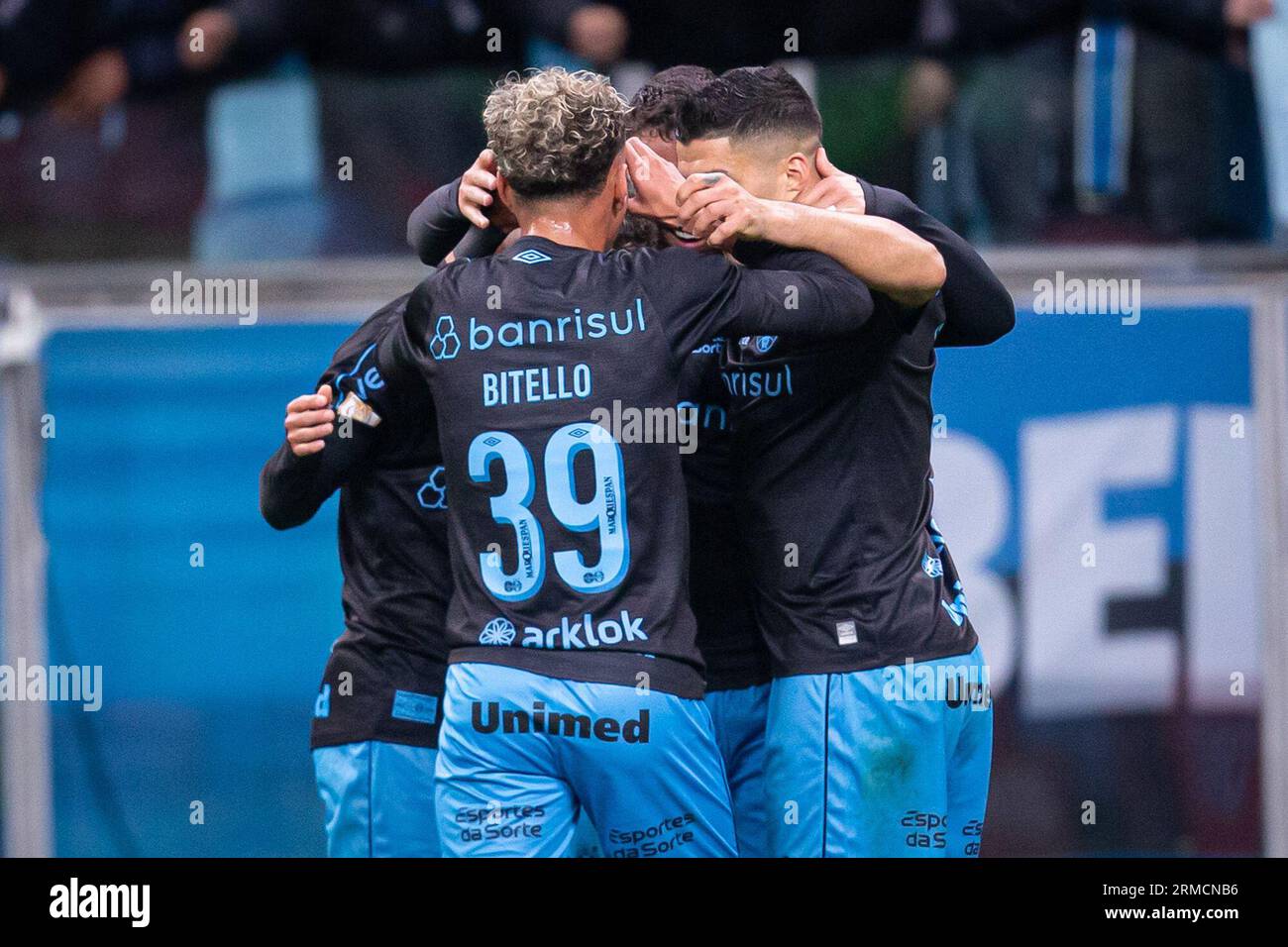 Players of Gremio during the game between Palmeiras and Gremio for the 34th  round of the Brazilian league, known locally as Campeonato Brasiliero. The  game took place at the Allianz Parque in