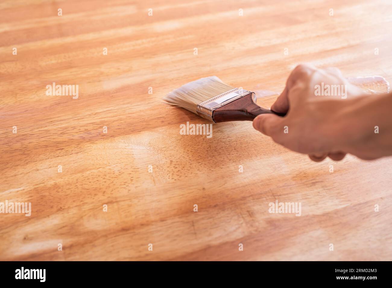 Apply clear wood stain on wood panel with brush Stock Photo