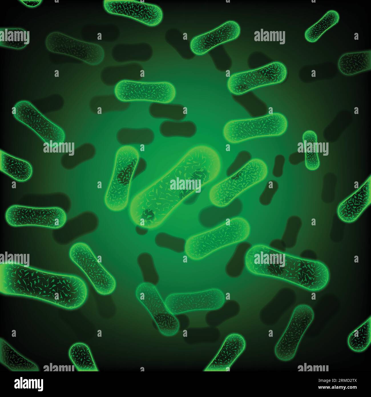 Green rodshaped bacteria Stock Vector Image & Art Alamy