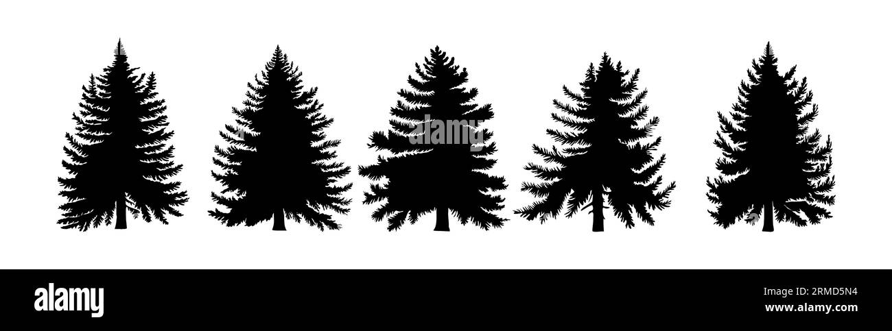 Set of Different fir tree vector silhouettes.  Stock Vector